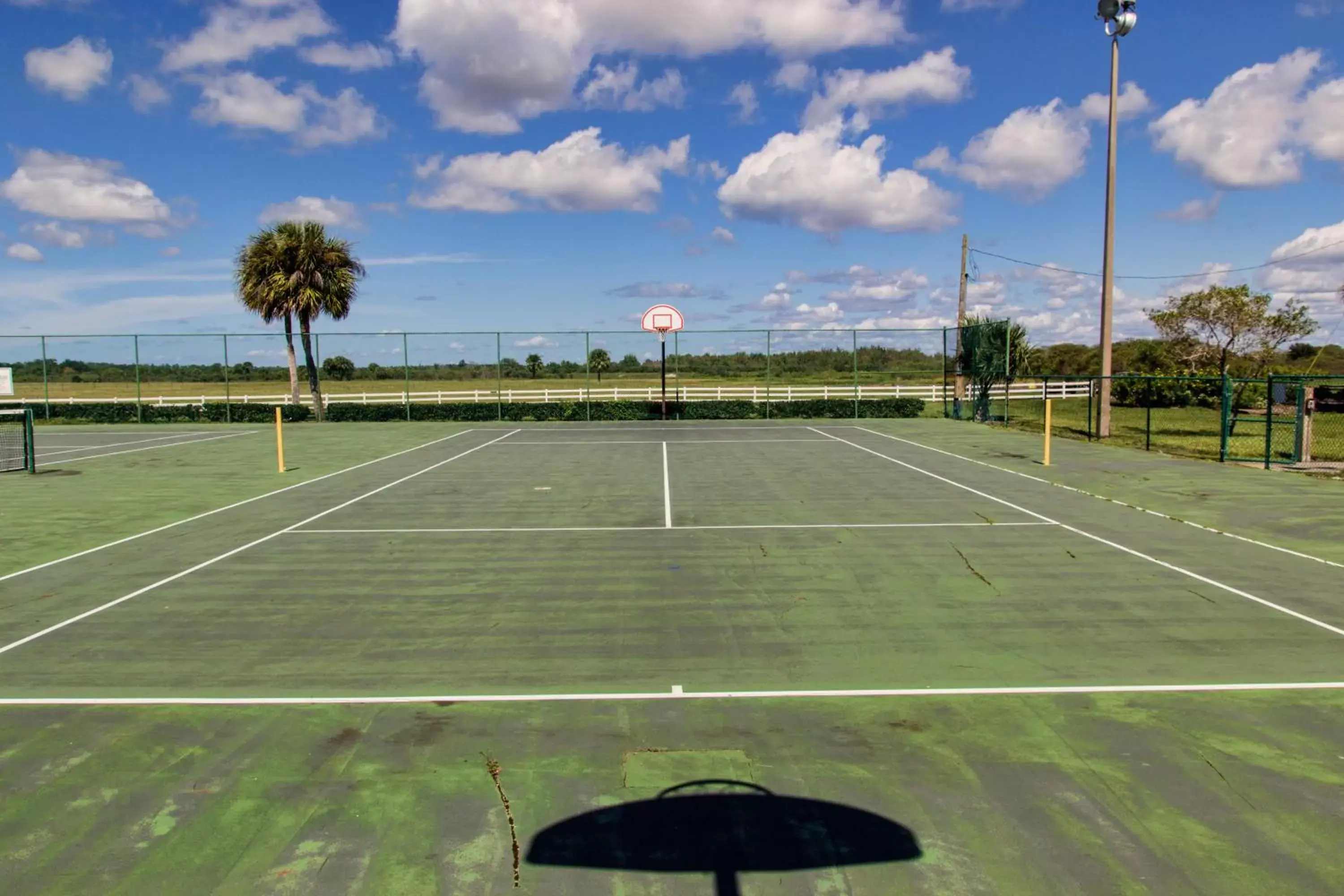 Sports, Tennis/Squash in Westgate River Ranch Resort & Rodeo