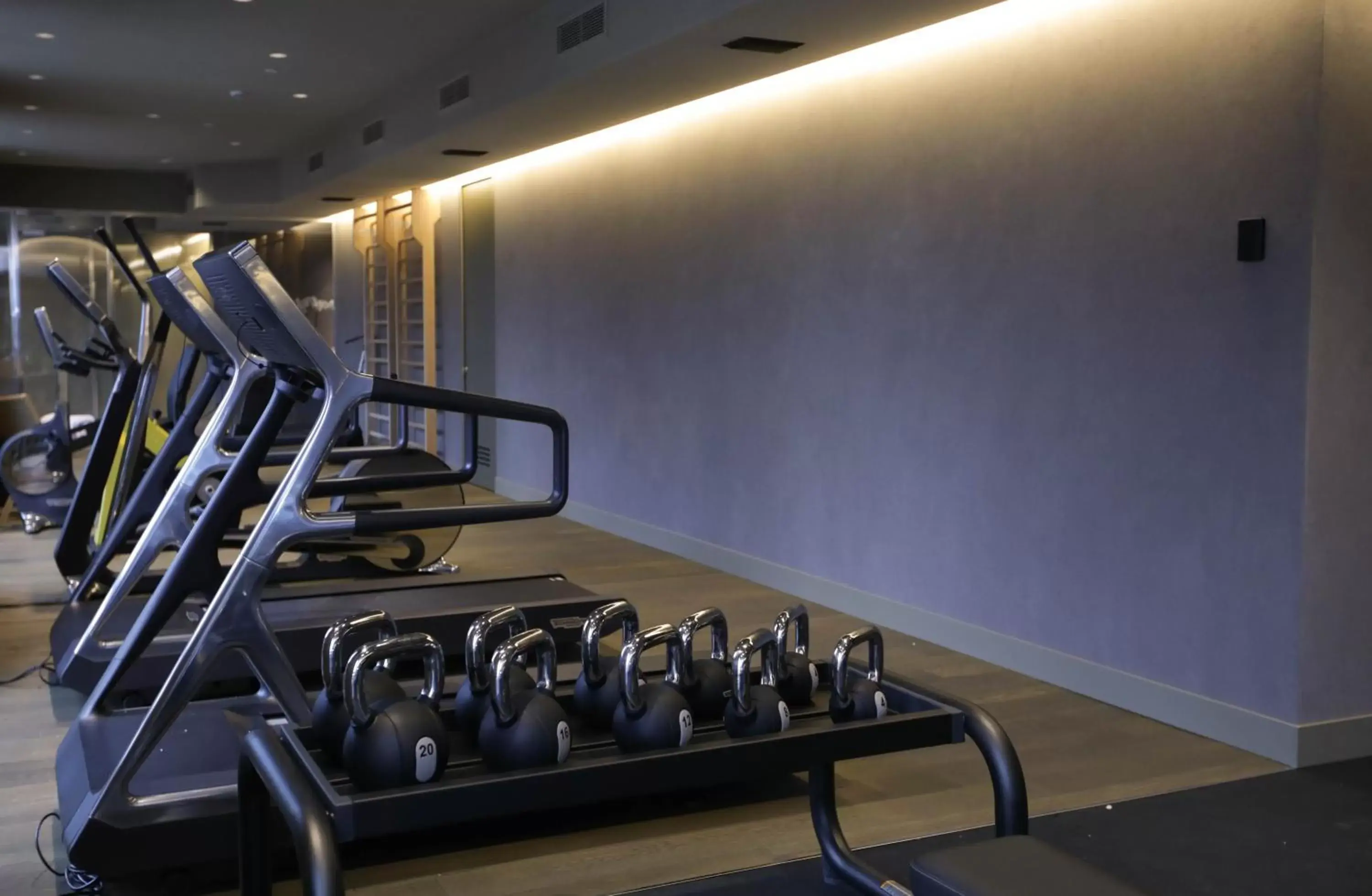 Spa and wellness centre/facilities, Fitness Center/Facilities in Hotel VIU Milan