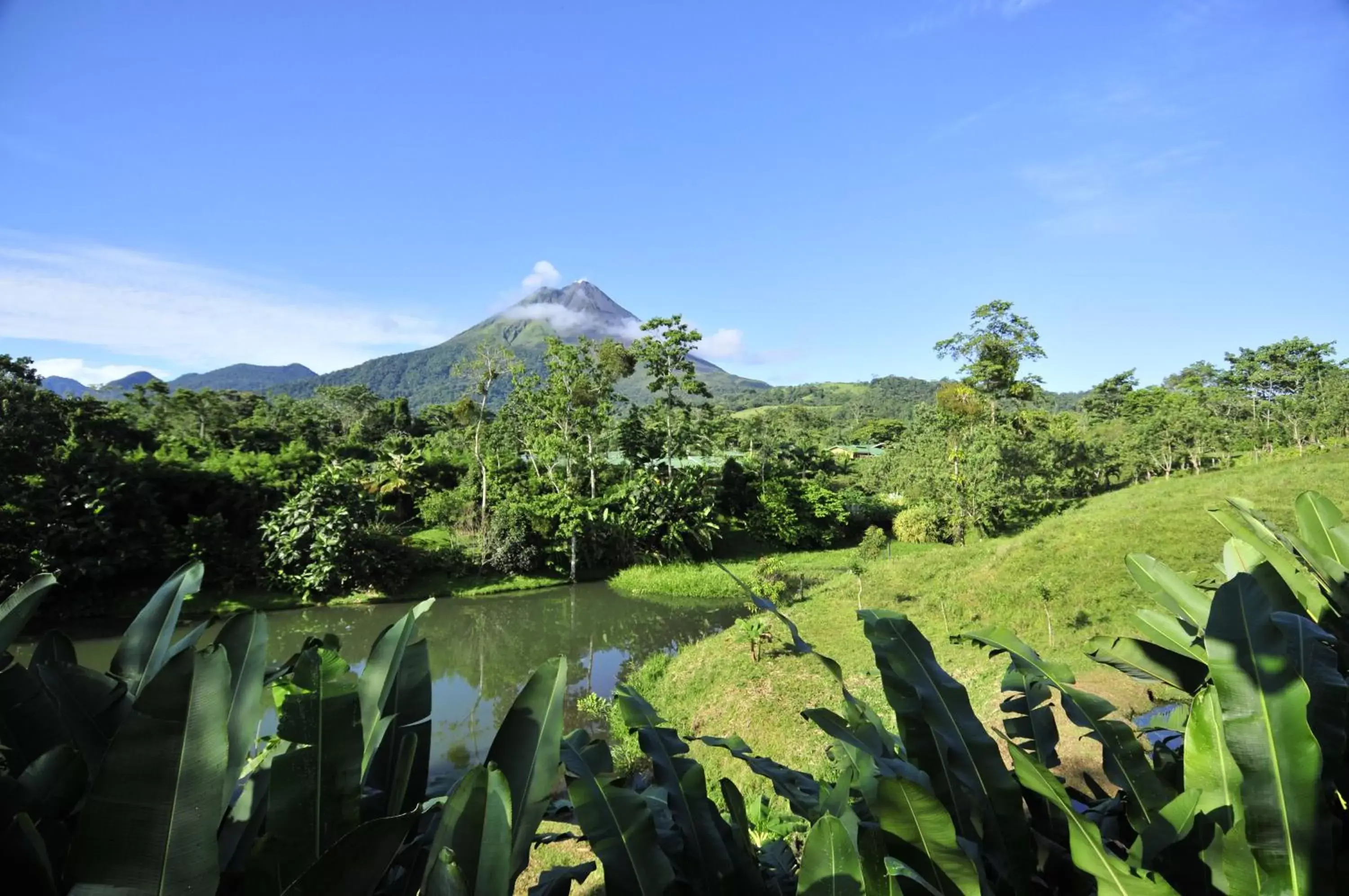 Day in Arenal Manoa Resort & Hot Springs