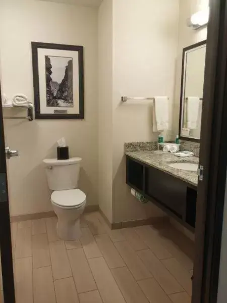 Toilet, Bathroom in Holiday Inn Express & Suites Golden, an IHG Hotel