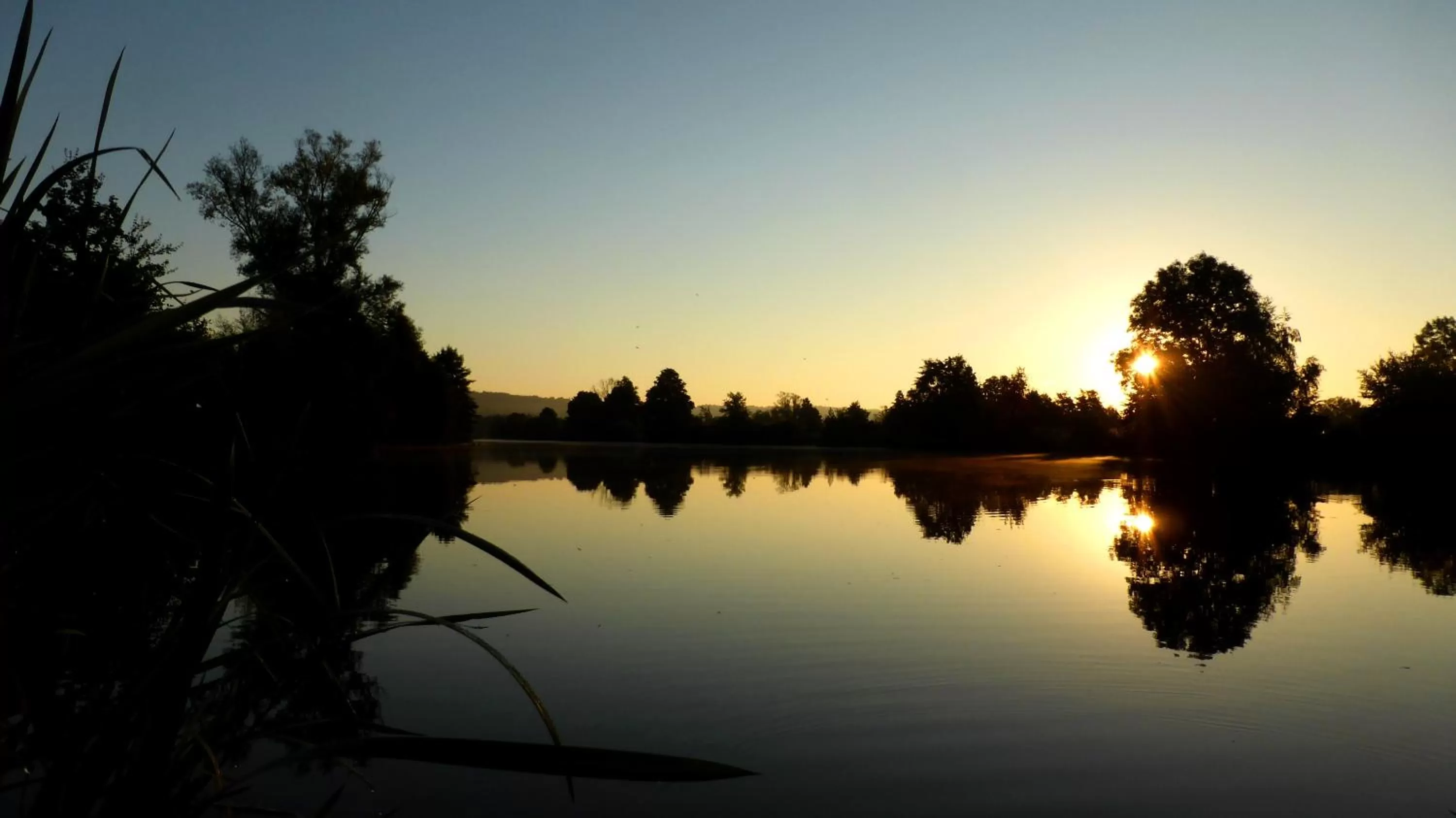 Natural landscape in Drahthammer Schlößl