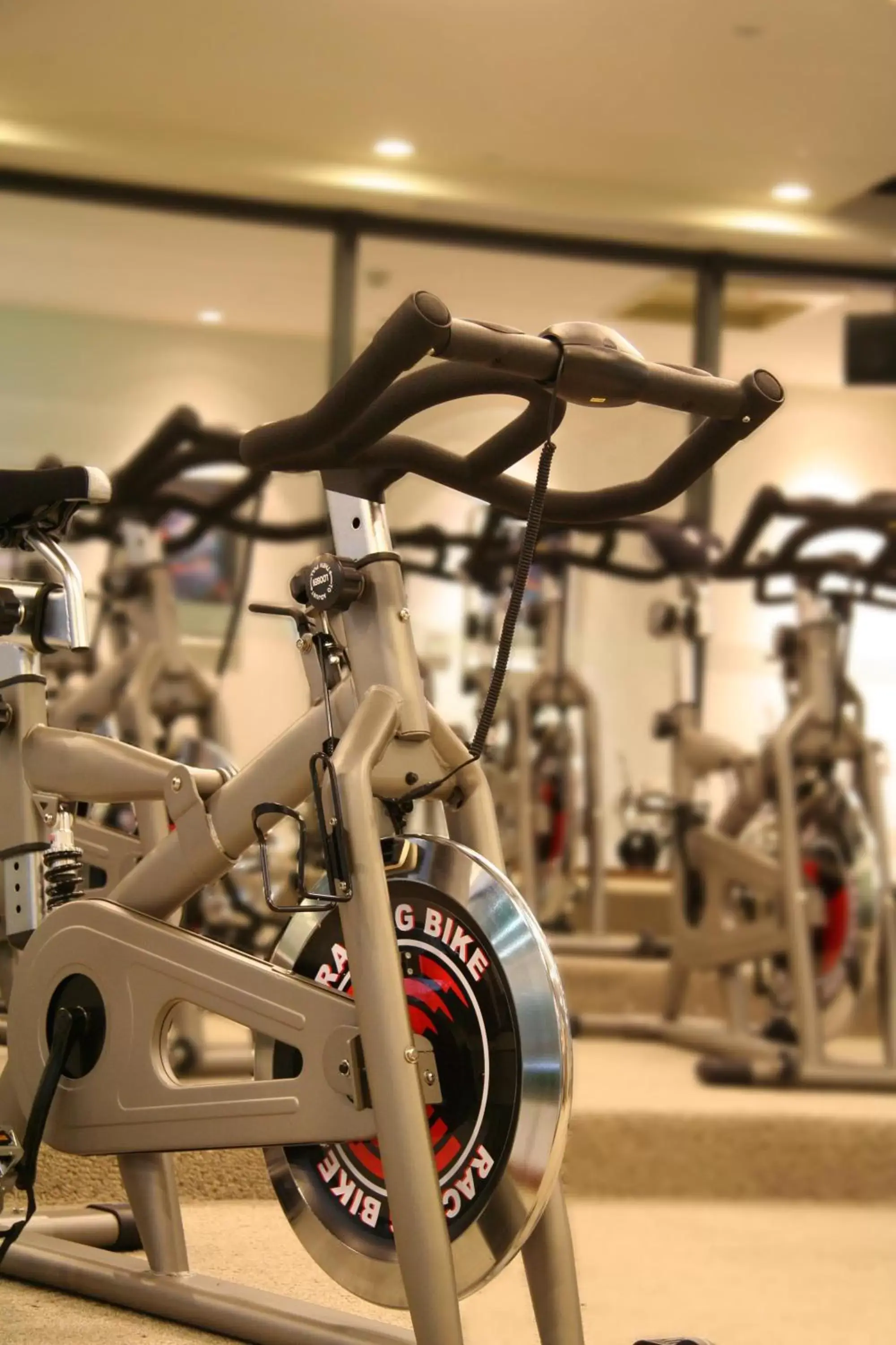 Fitness centre/facilities in Lakeshore Hotel Hsinchu Fitness centre/facilities in Lakeshore Hotel Hsinchu