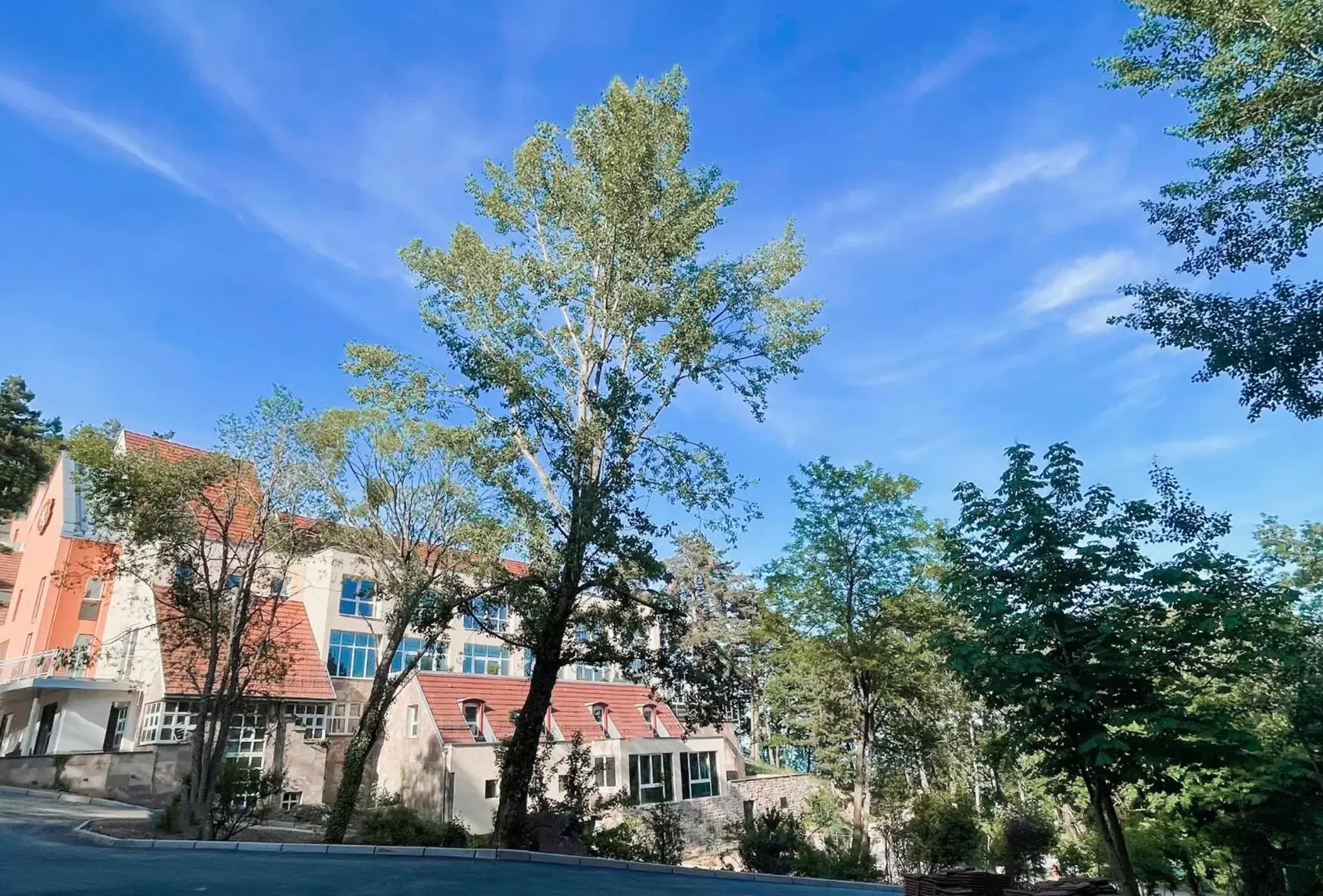 Property building in Hotel SPA Husseren Collections - Proche Colmar - Eguisheim Property building in Hotel SPA Husseren Collections - Proche Colmar - Eguisheim