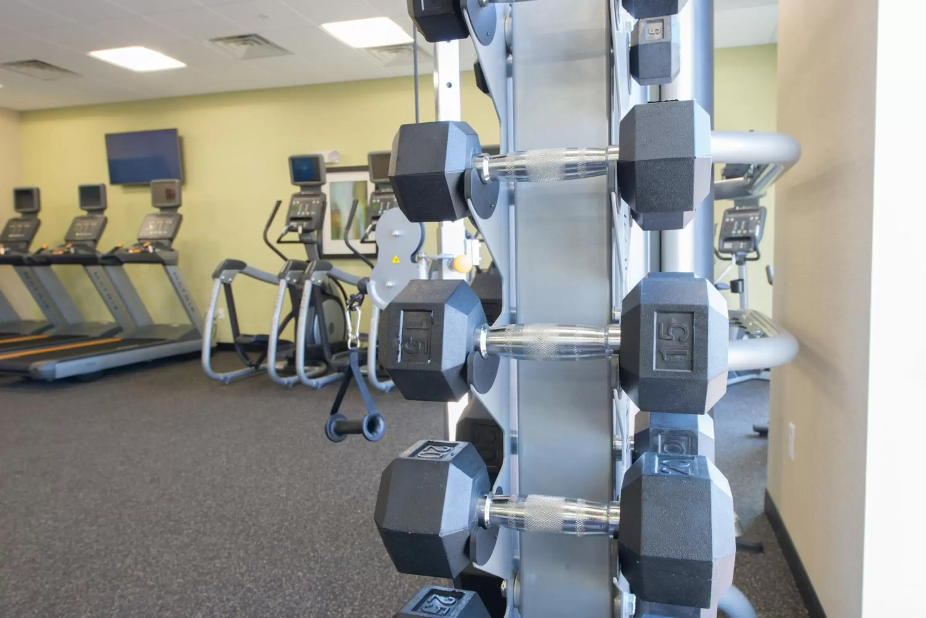 Spa and wellness centre/facilities, Fitness Center/Facilities in Holiday Inn Bismarck, an IHG Hotel