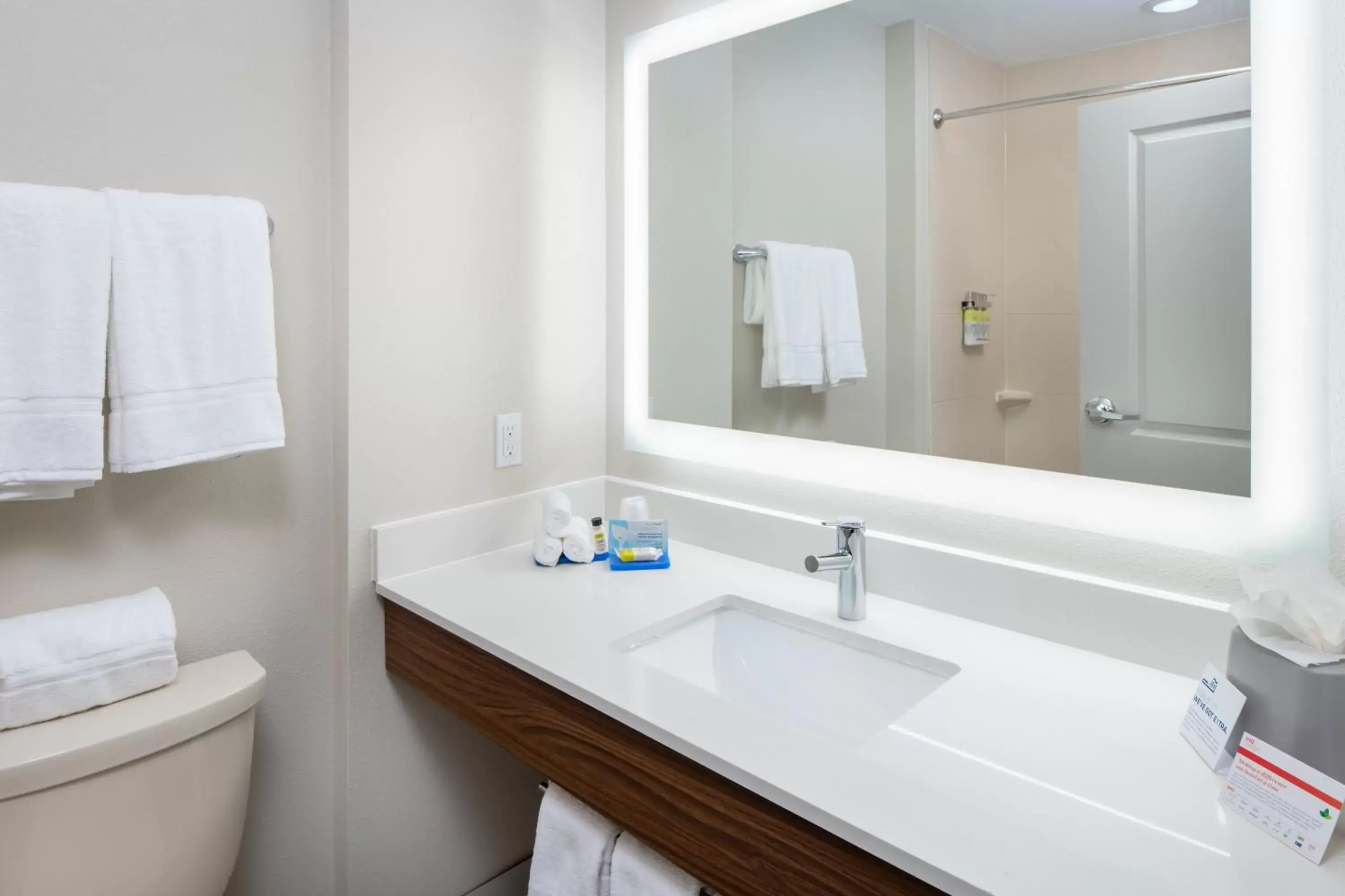 Bathroom in Holiday Inn Express Hotel & Suites Dallas South - DeSoto, an IHG Hotel