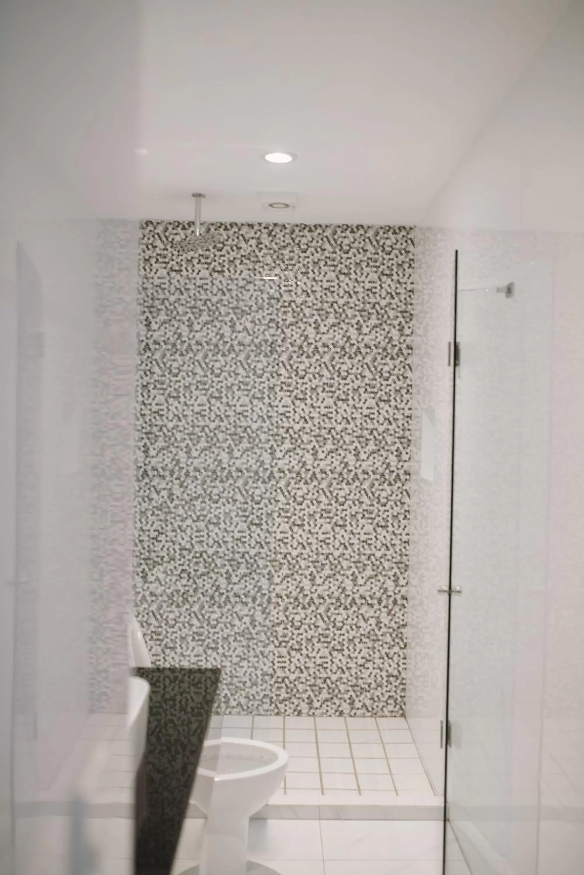 Shower, Bathroom in Hotel Dali Plaza Ejecutivo