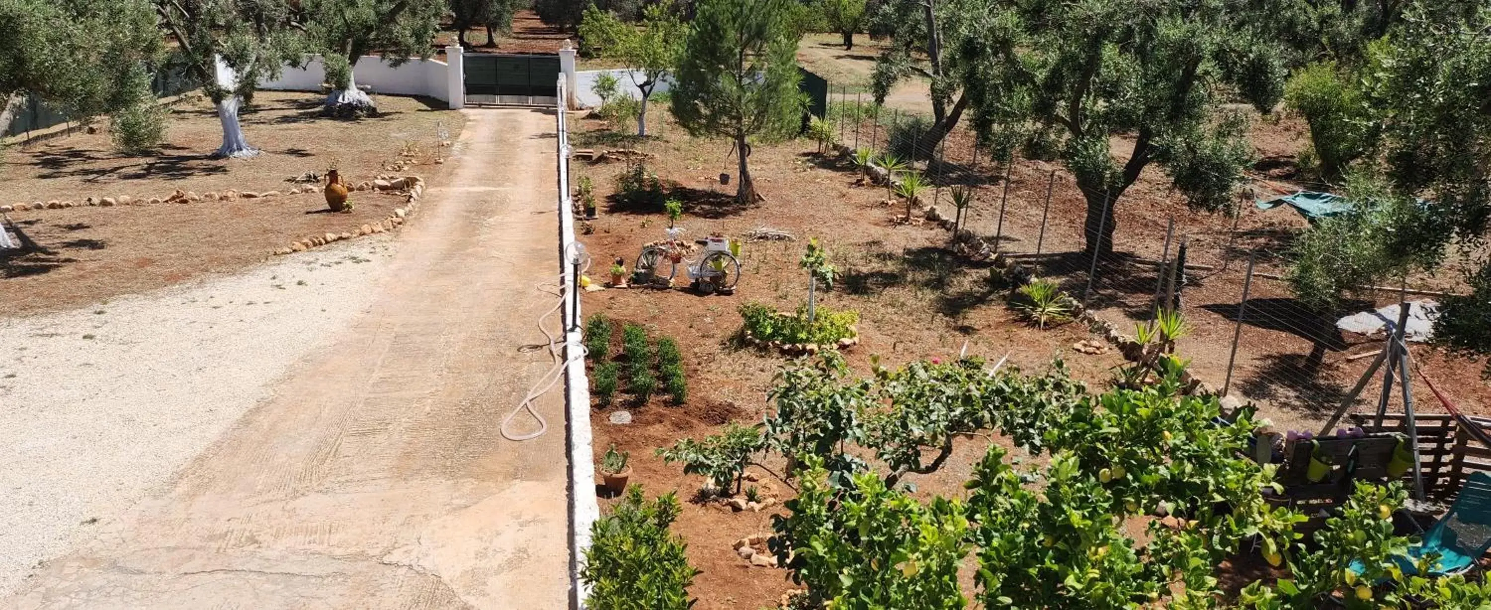 Natural landscape in TRULLO CARMEN