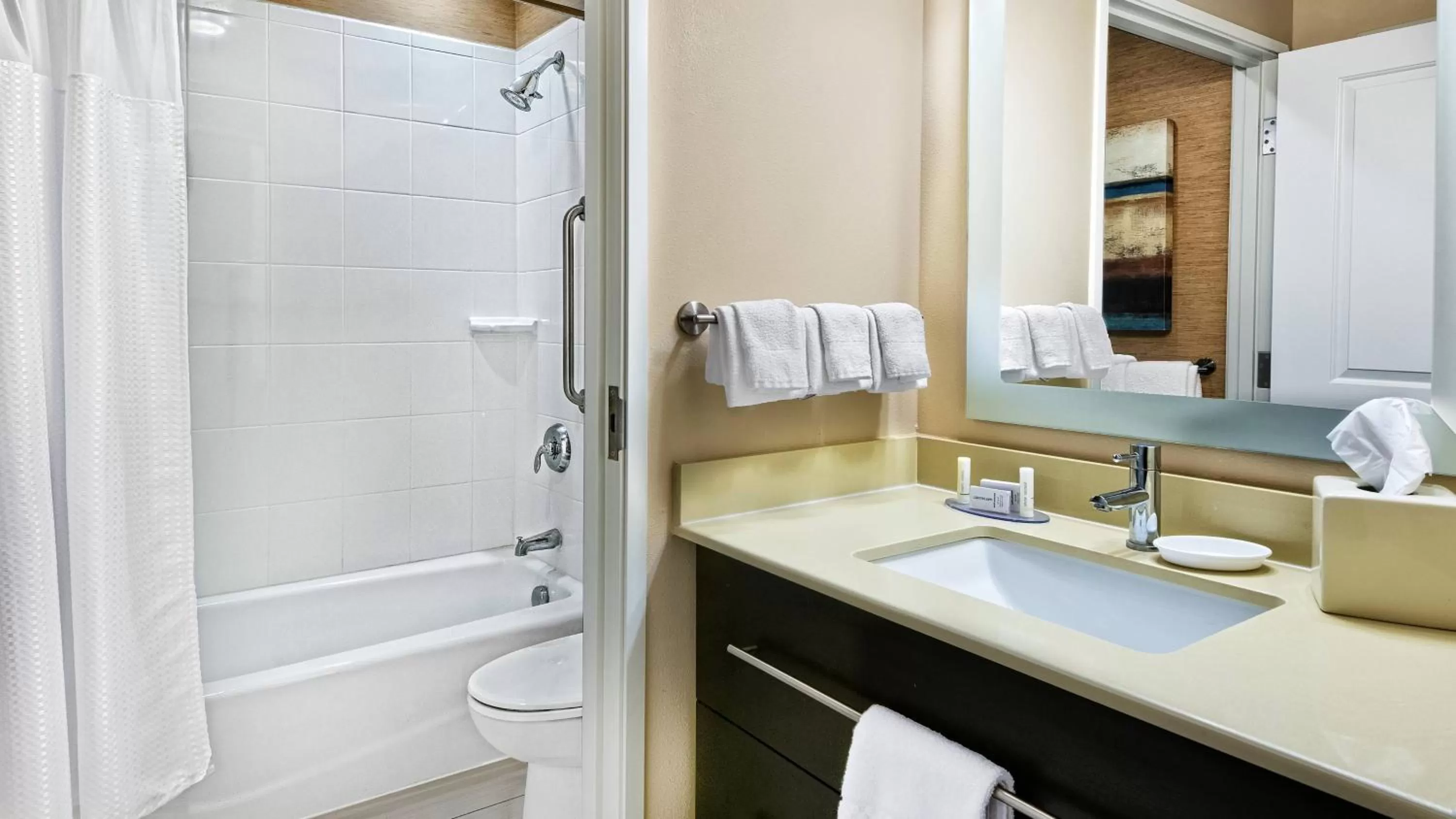 Studio with Two Queen Beds - Hearing Accessible in TownePlace Suites by Marriott San Antonio Downtown Riverwalk