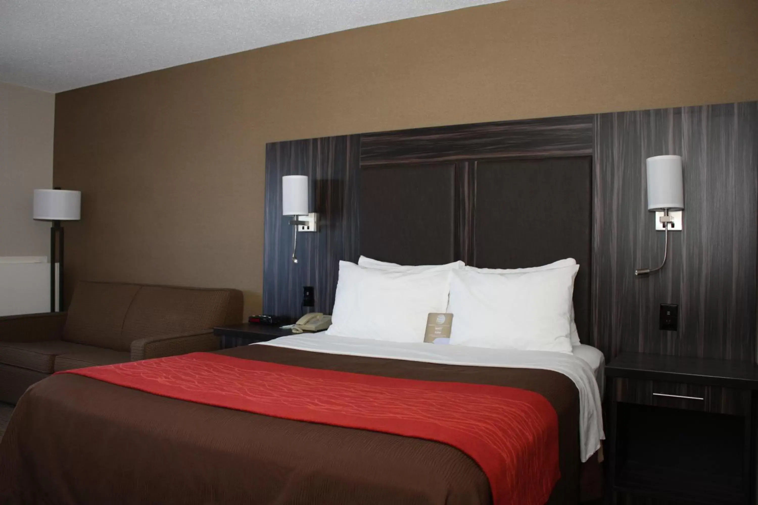 Queen Room - Ground Floor - Pet-Friendly in Comfort Inn Trenton