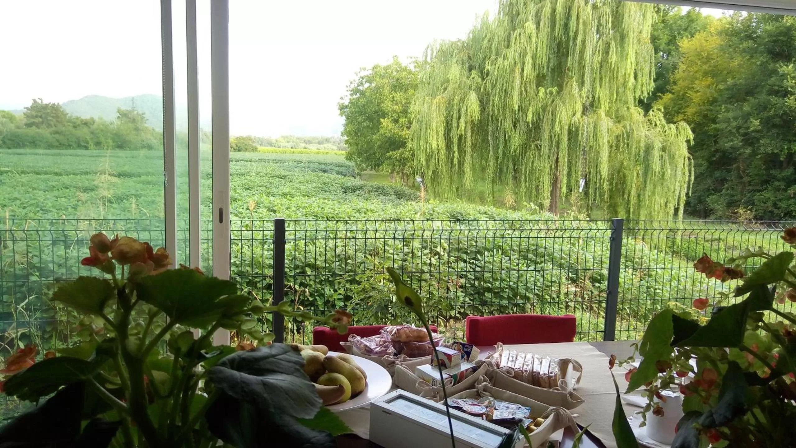 Breakfast in B&B La Via dell'Ambra