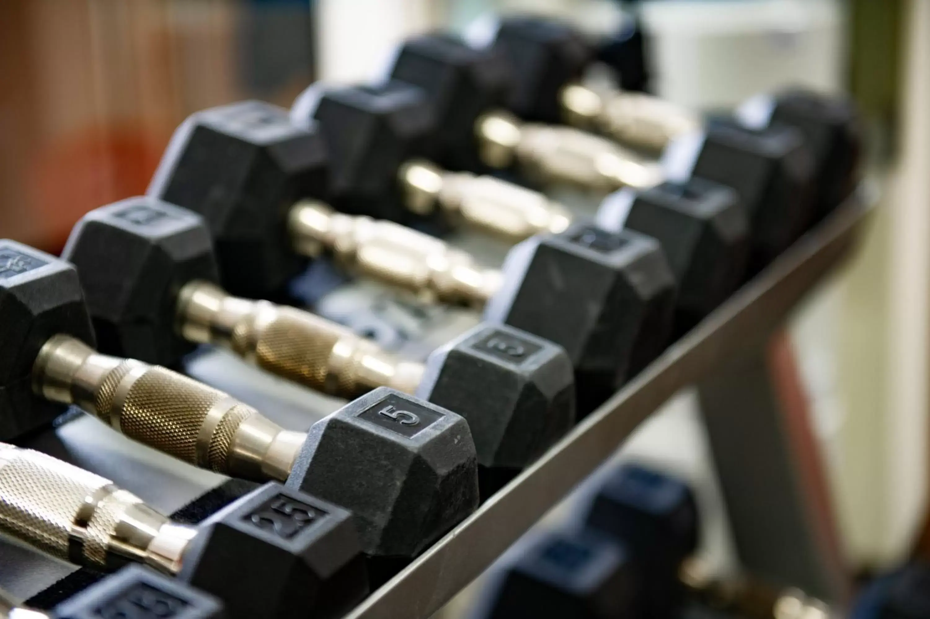 Fitness centre/facilities in Holiday Inn Express & Suites Hayward by IHG Fitness centre/facilities in Holiday Inn Express & Suites Hayward by IHG