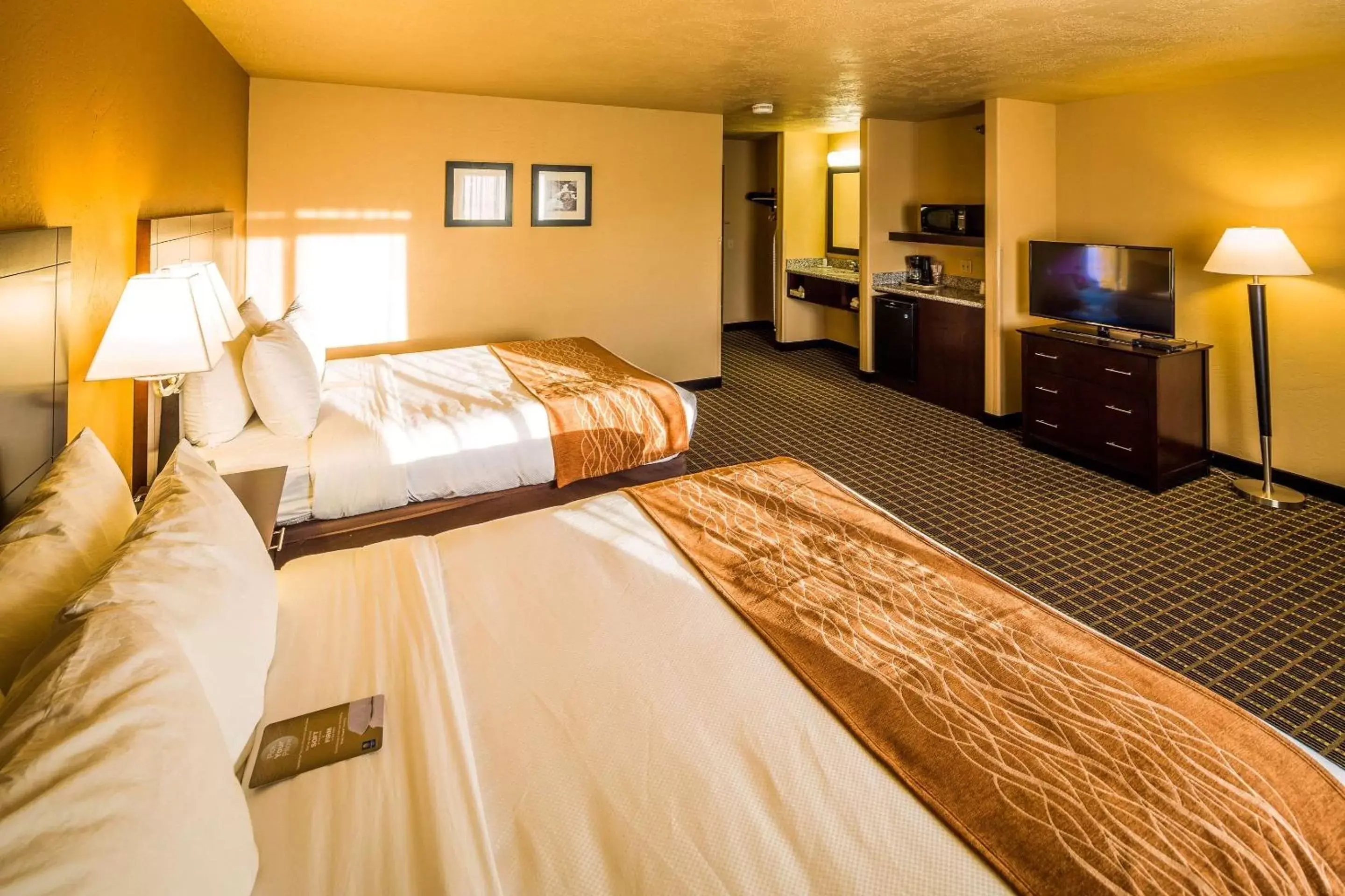 Photo of the whole room, Bed in Comfort Inn & Suites Gunnison-Crested Butte