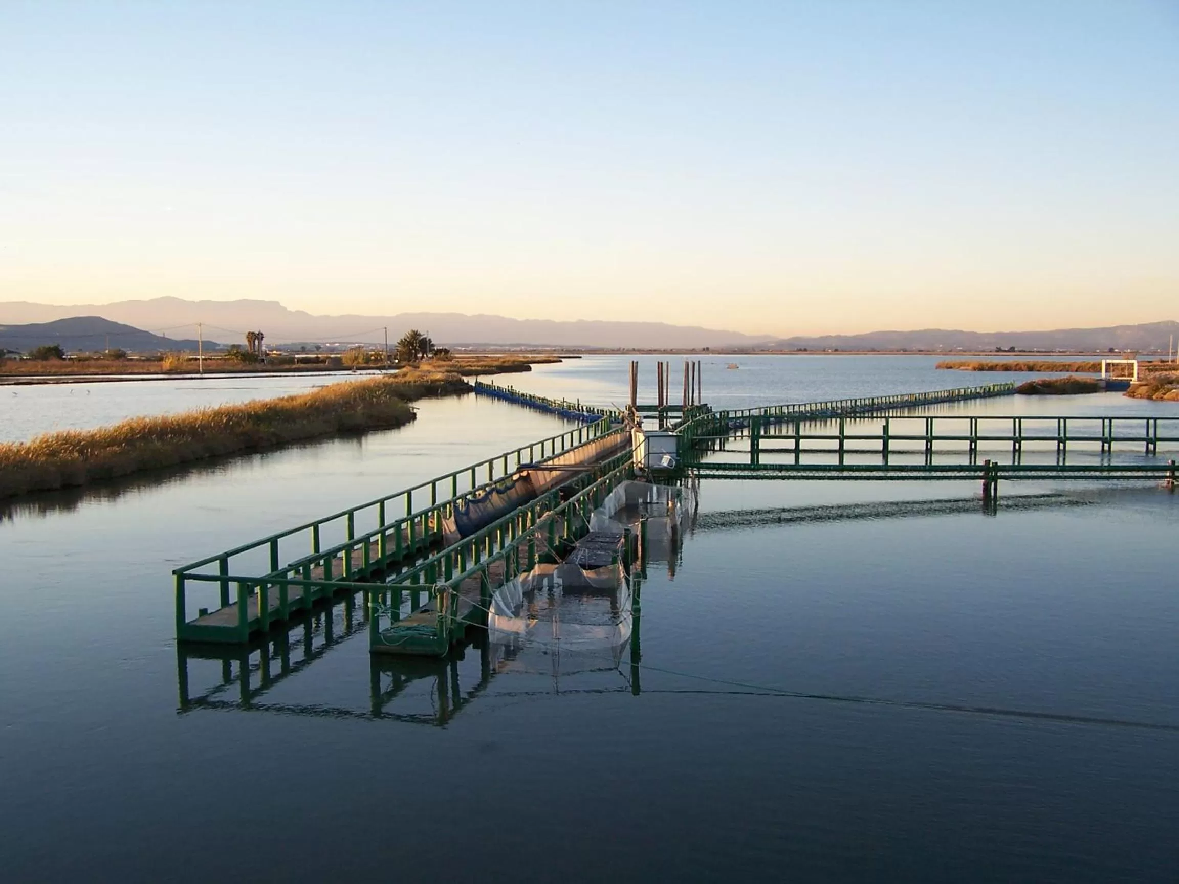 Natural landscape in River Dreams