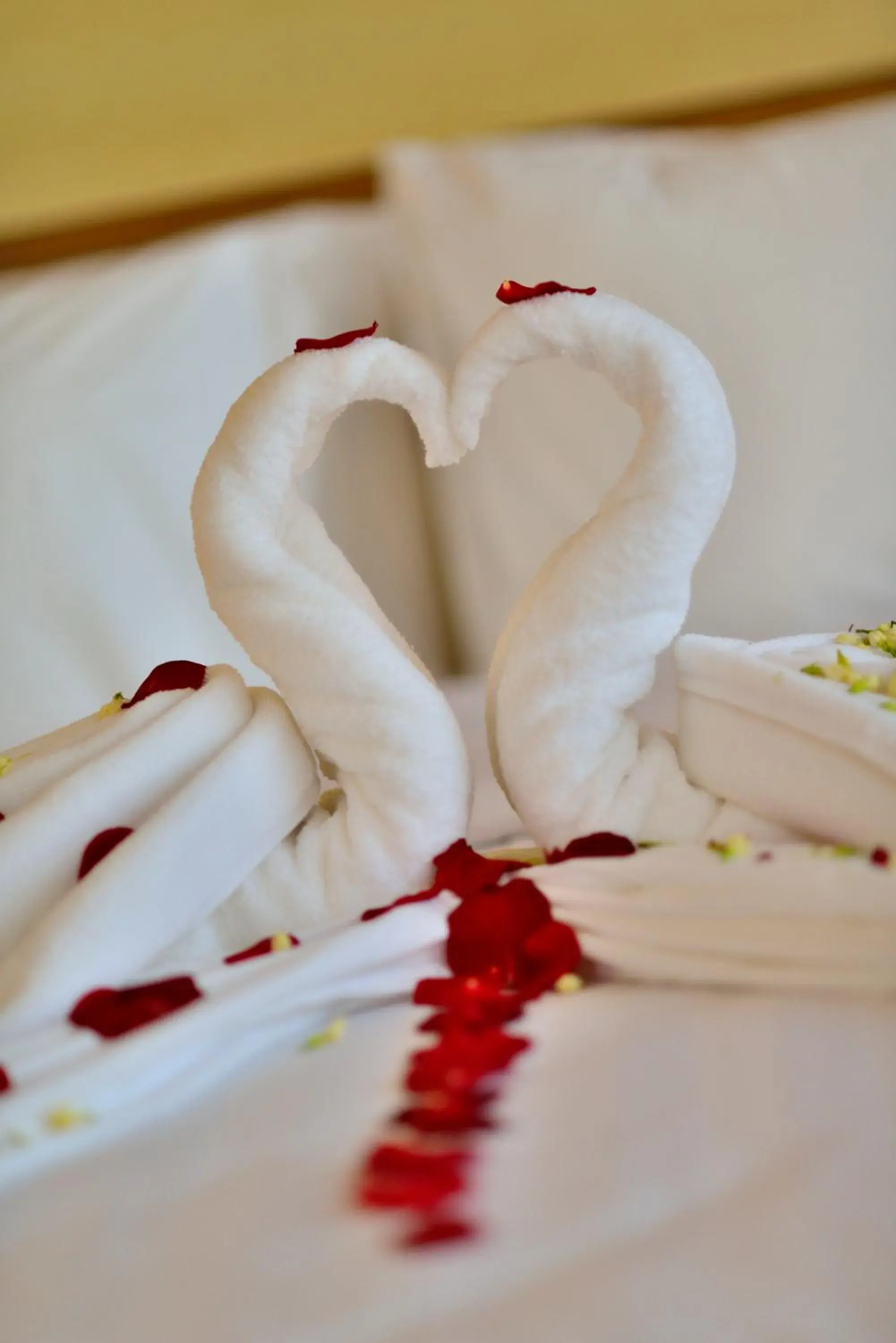 Photo of the whole room in Hotel California Bandung Photo of the whole room in Hotel California Bandung