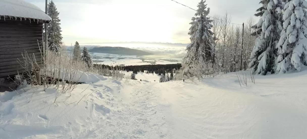 Natural landscape in Hotel Les Montagnards