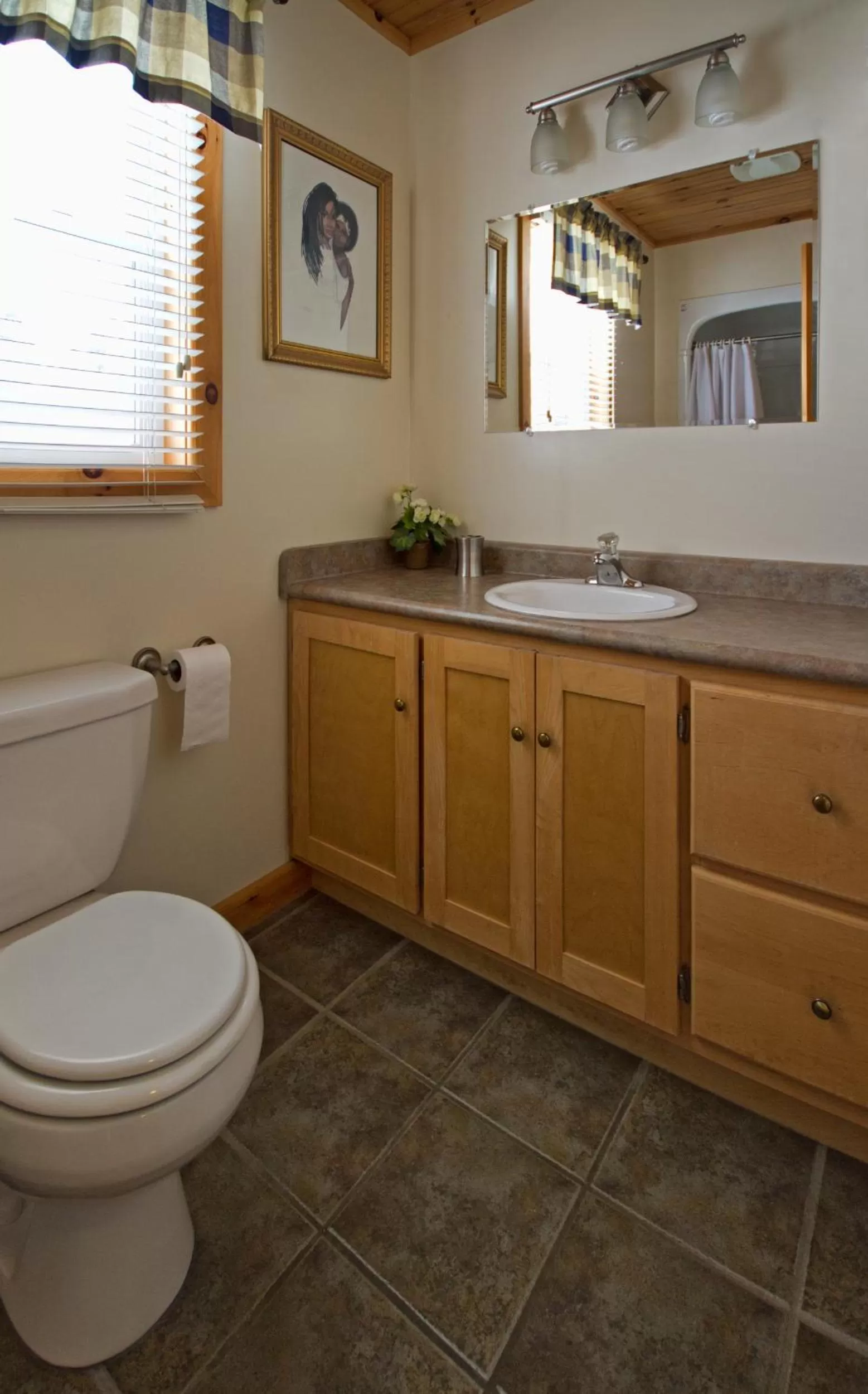 Mackenzie Motel & Cottages