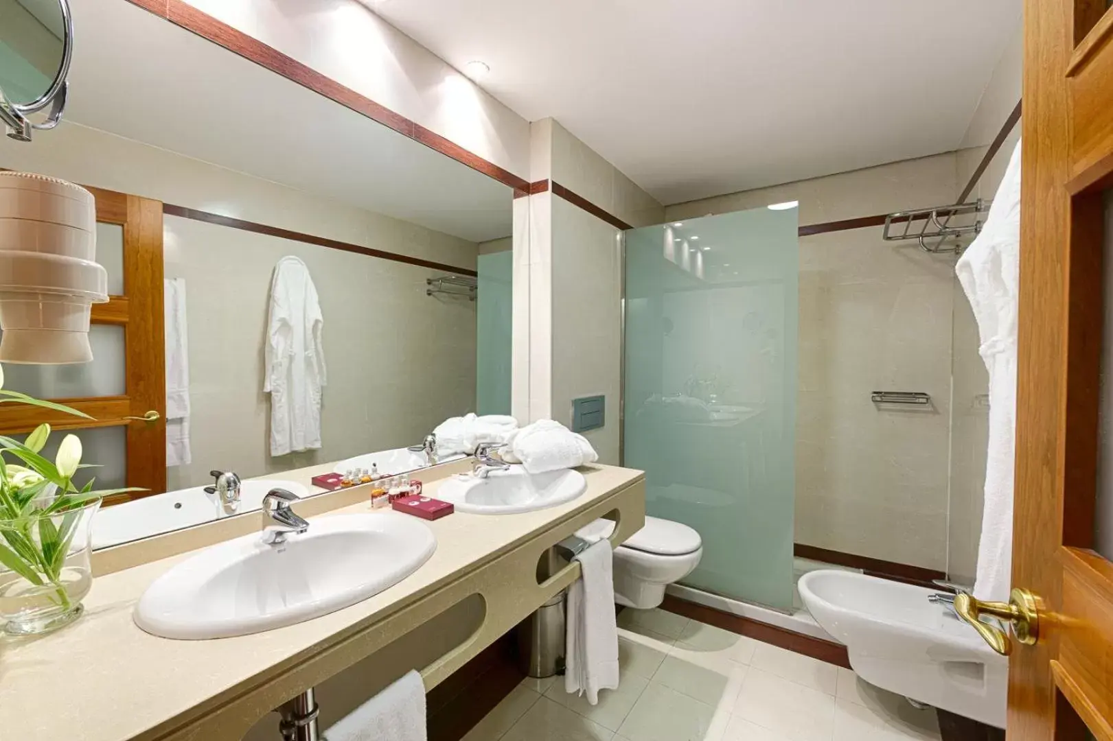 Shower, Bathroom in AZZ Peñafiel Las Claras Hotel & Spa