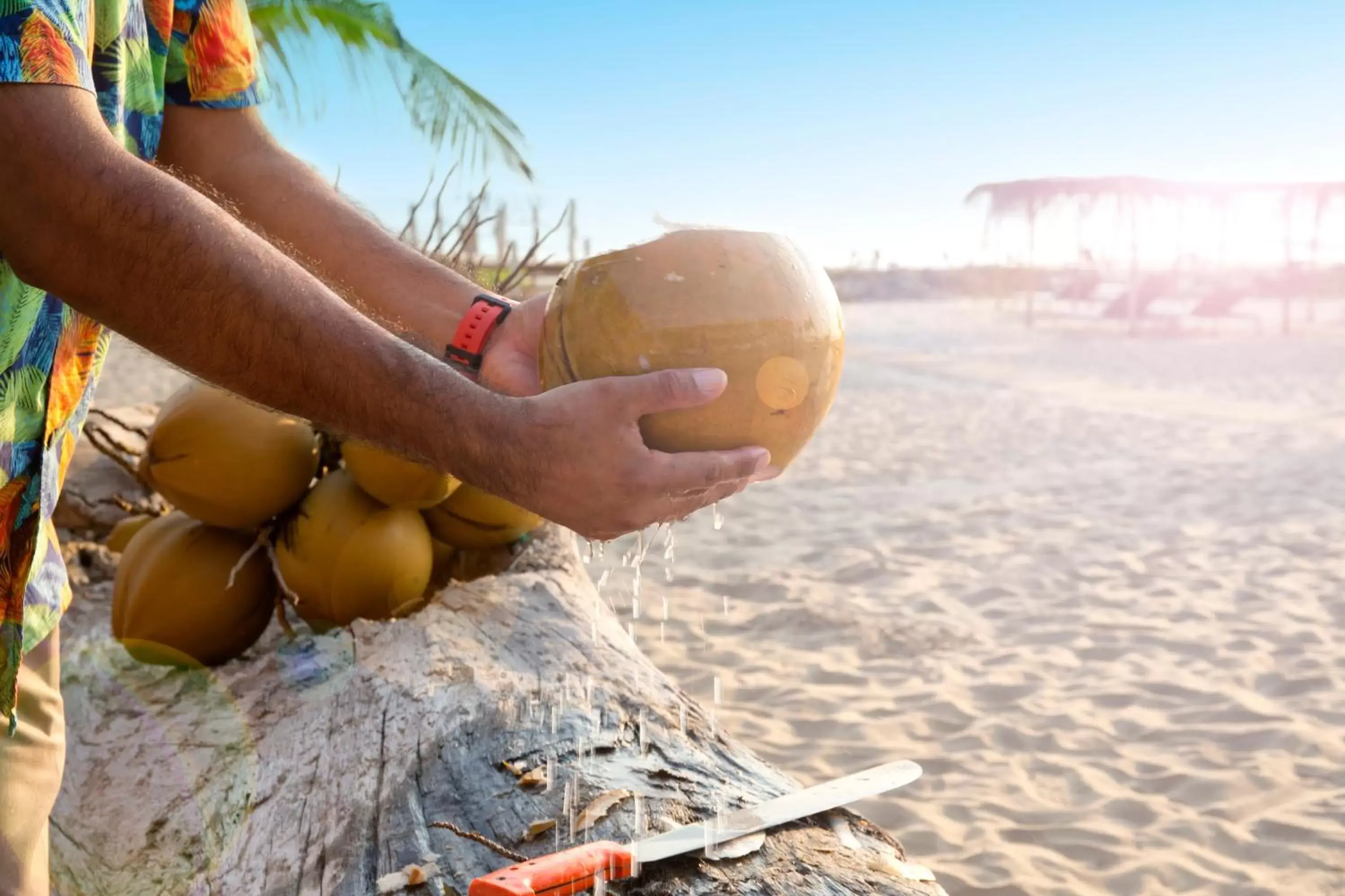 Non alcoholic drinks in Marea Beachfront Villas