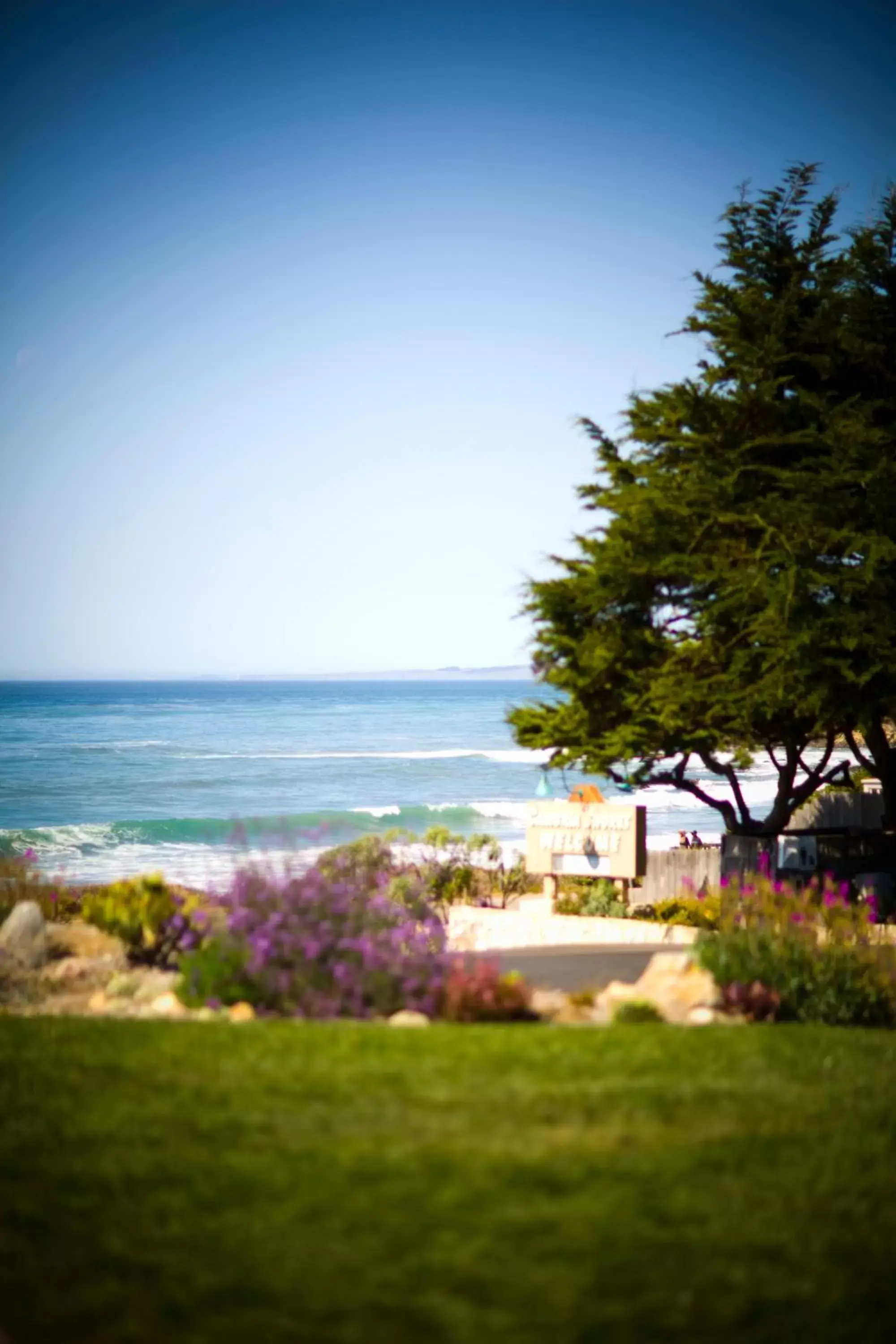 Garden view in Cambria Shores Inn