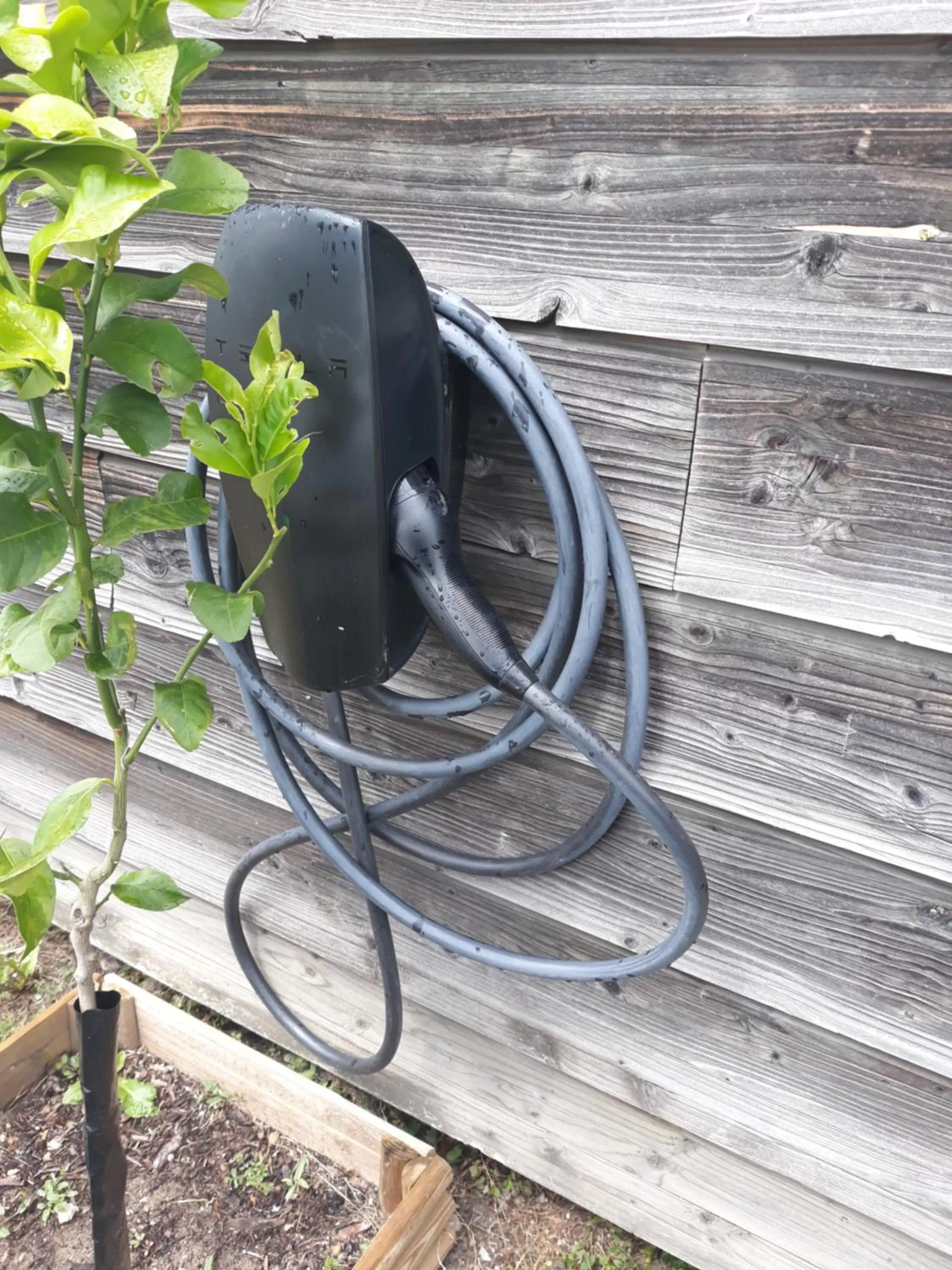 Other Animals in Green Hôtels Orléans Nord-Saran