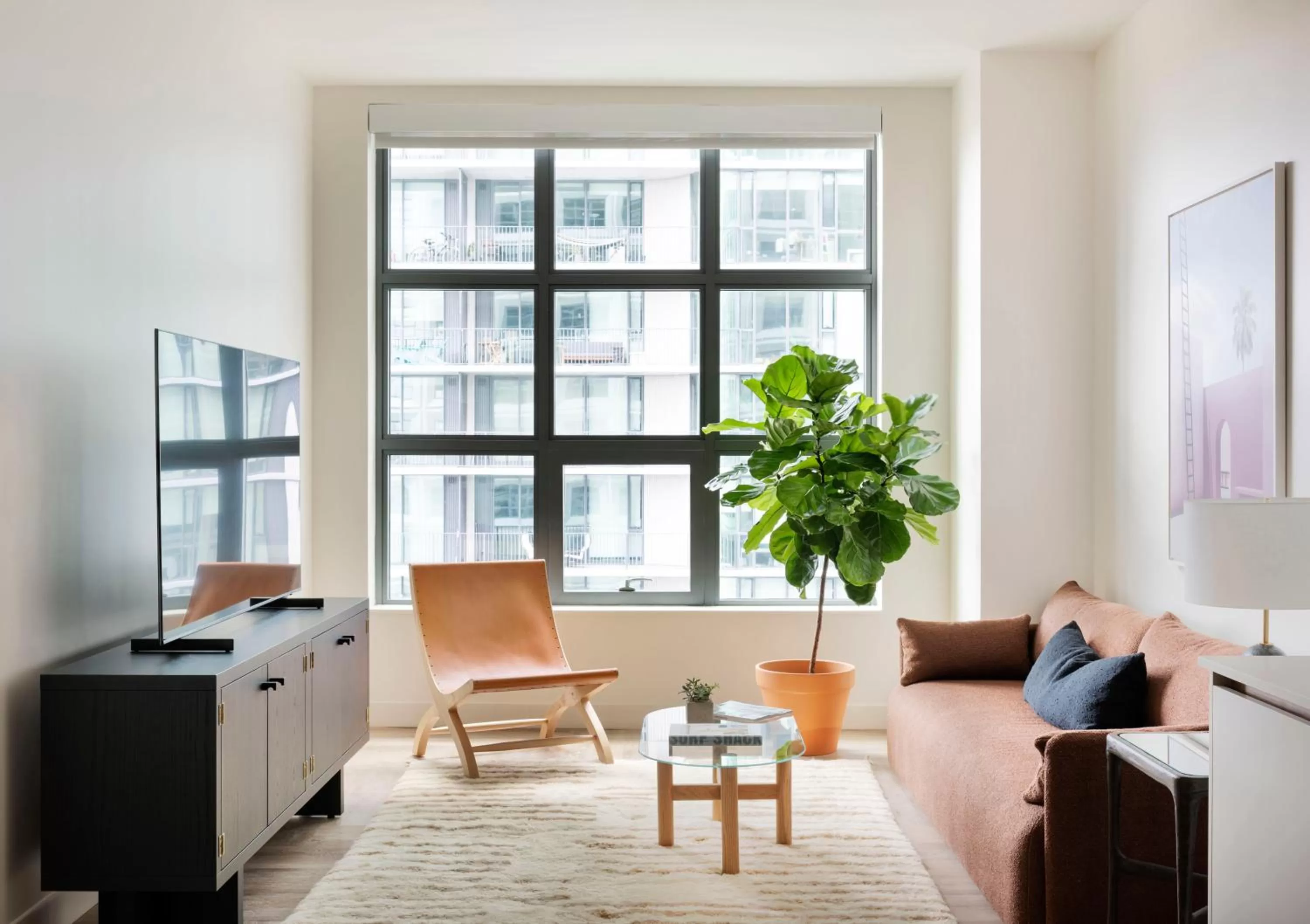 TV and multimedia in ROOST Tampa