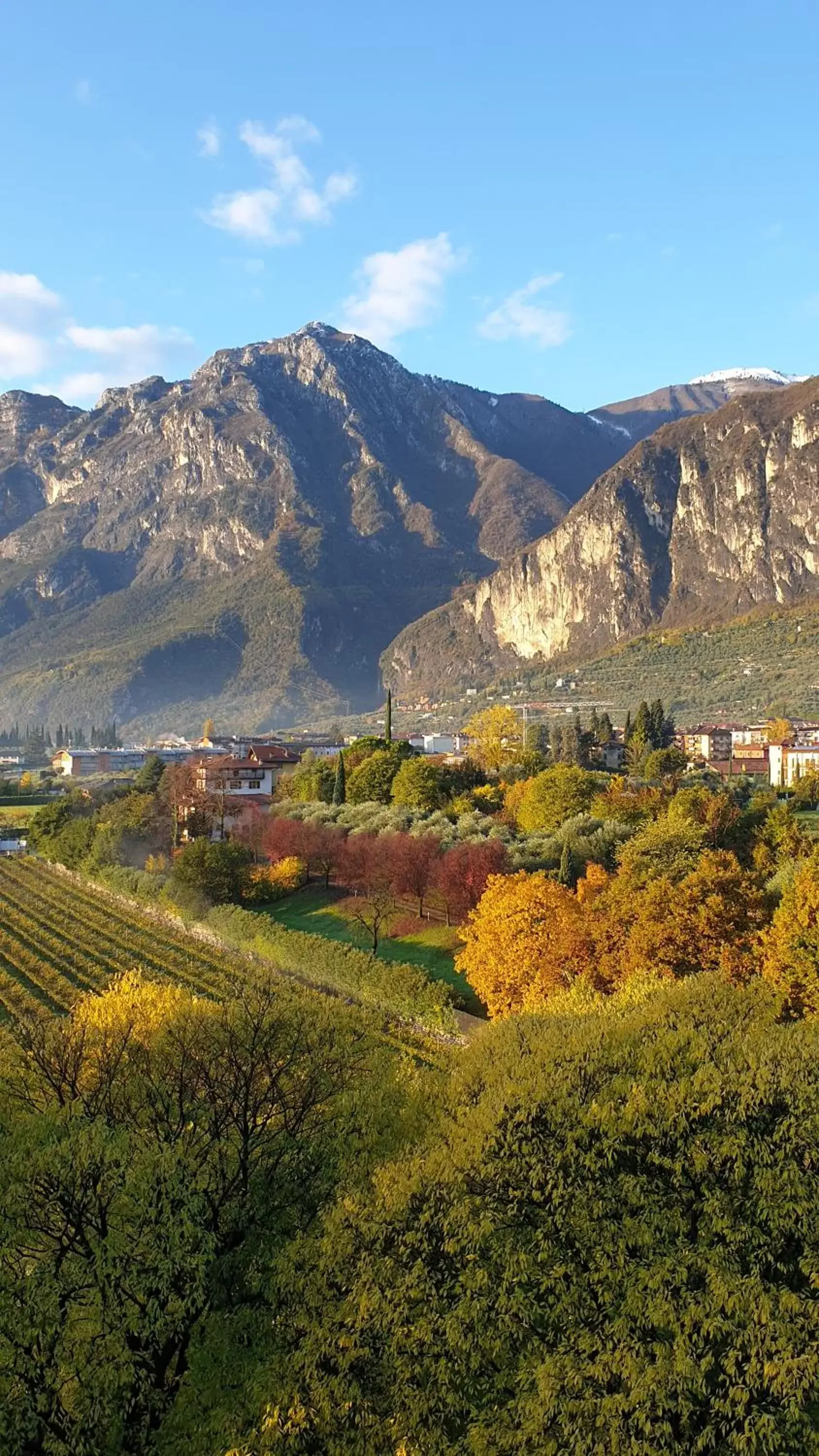 Autumn, Natural Landscape in La Berlera - Riva del Garda