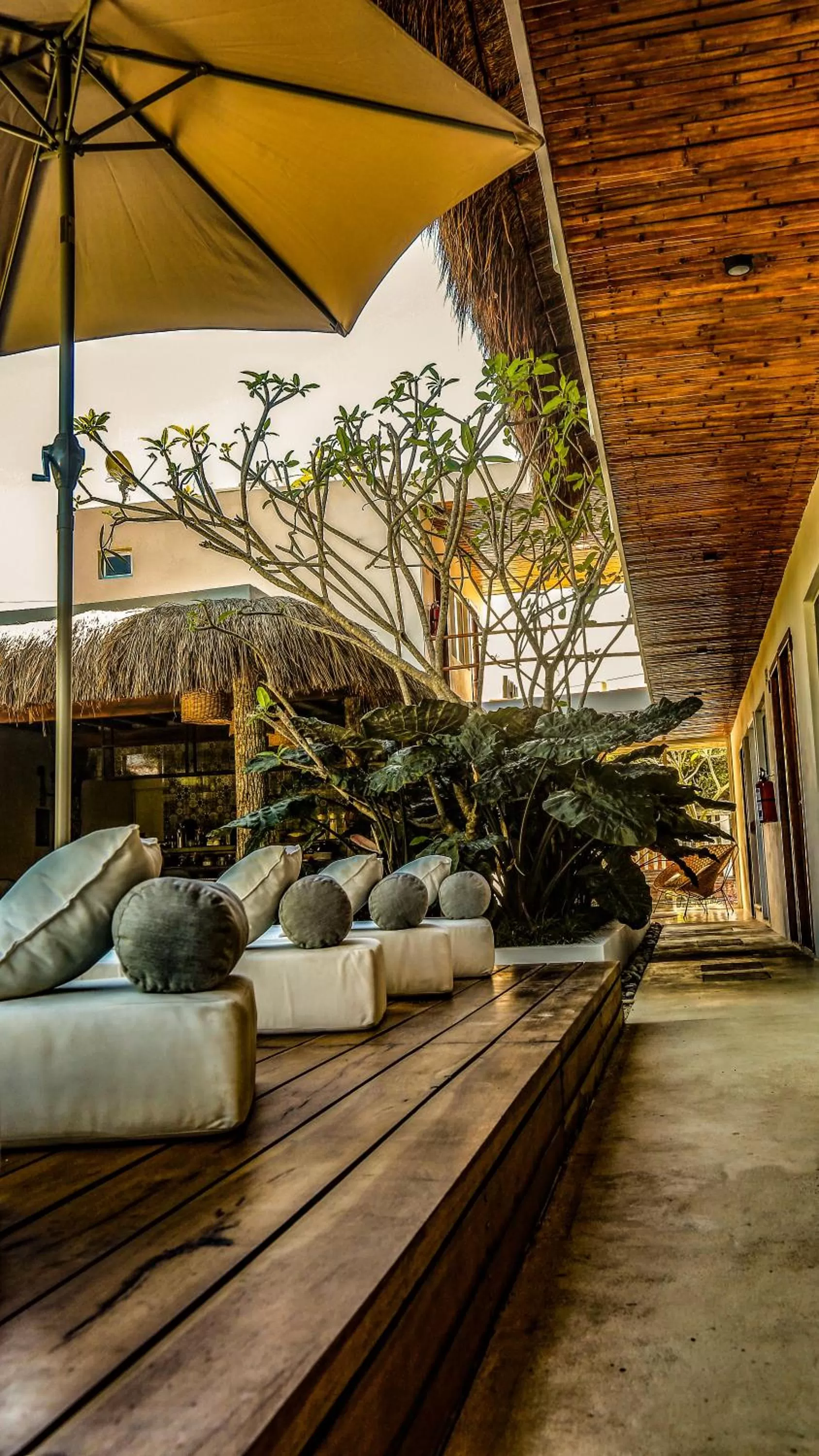 Area and facilities in AGAM Hotel Boutique Bacalar - Adults Only