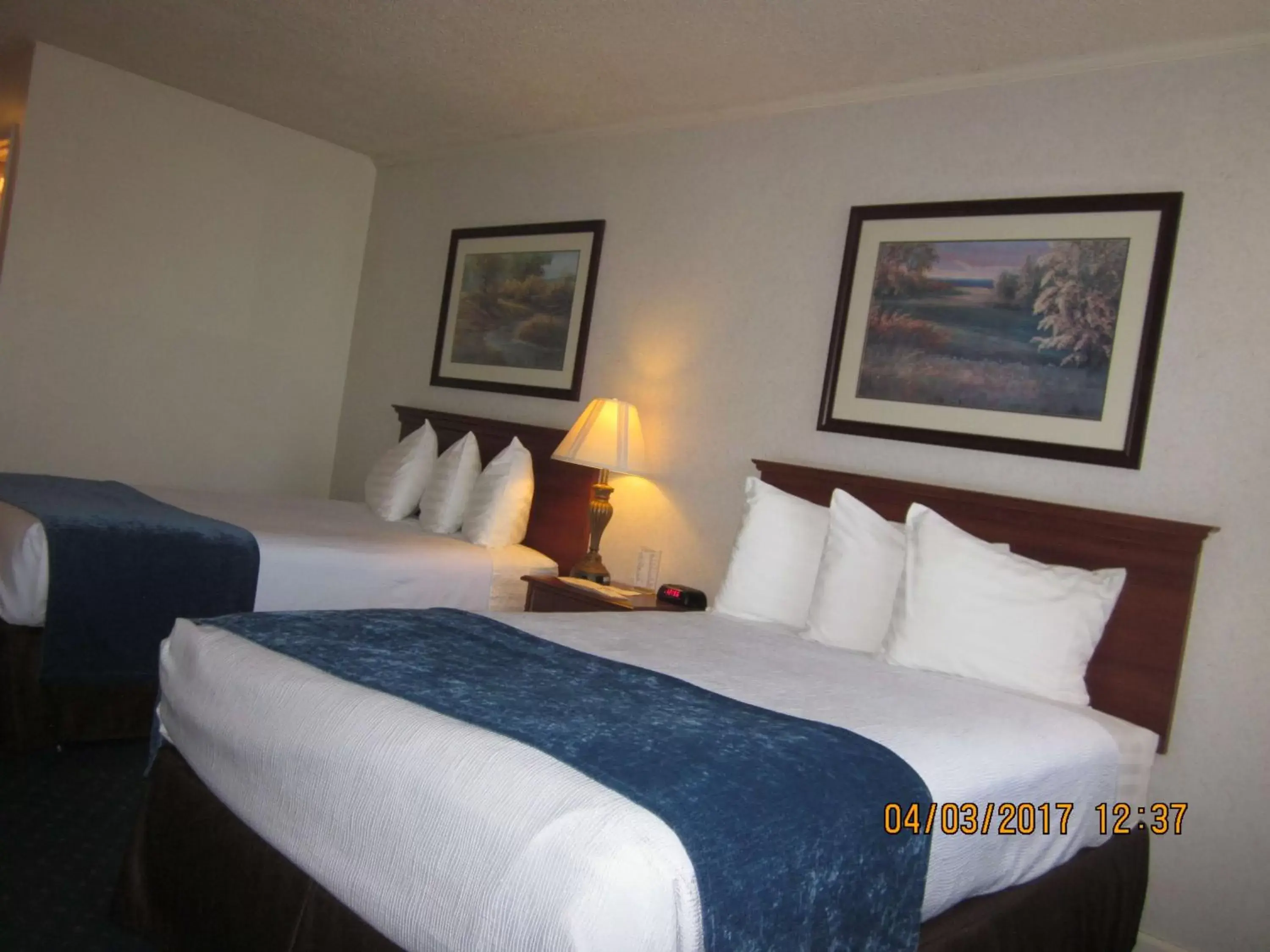Photo of the whole room, Bed in Trailside Inn