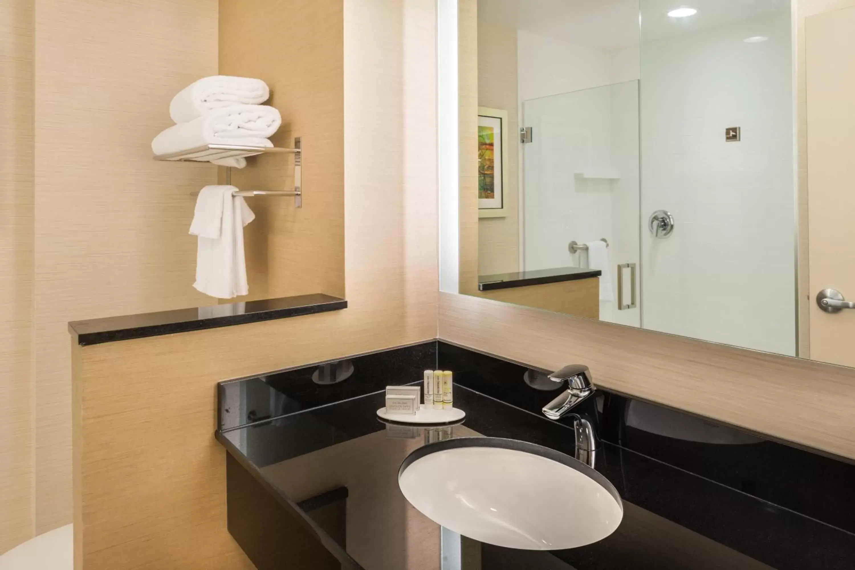 Bathroom in Fairfield Inn & Suites by Marriott Orlando East/UCF Area