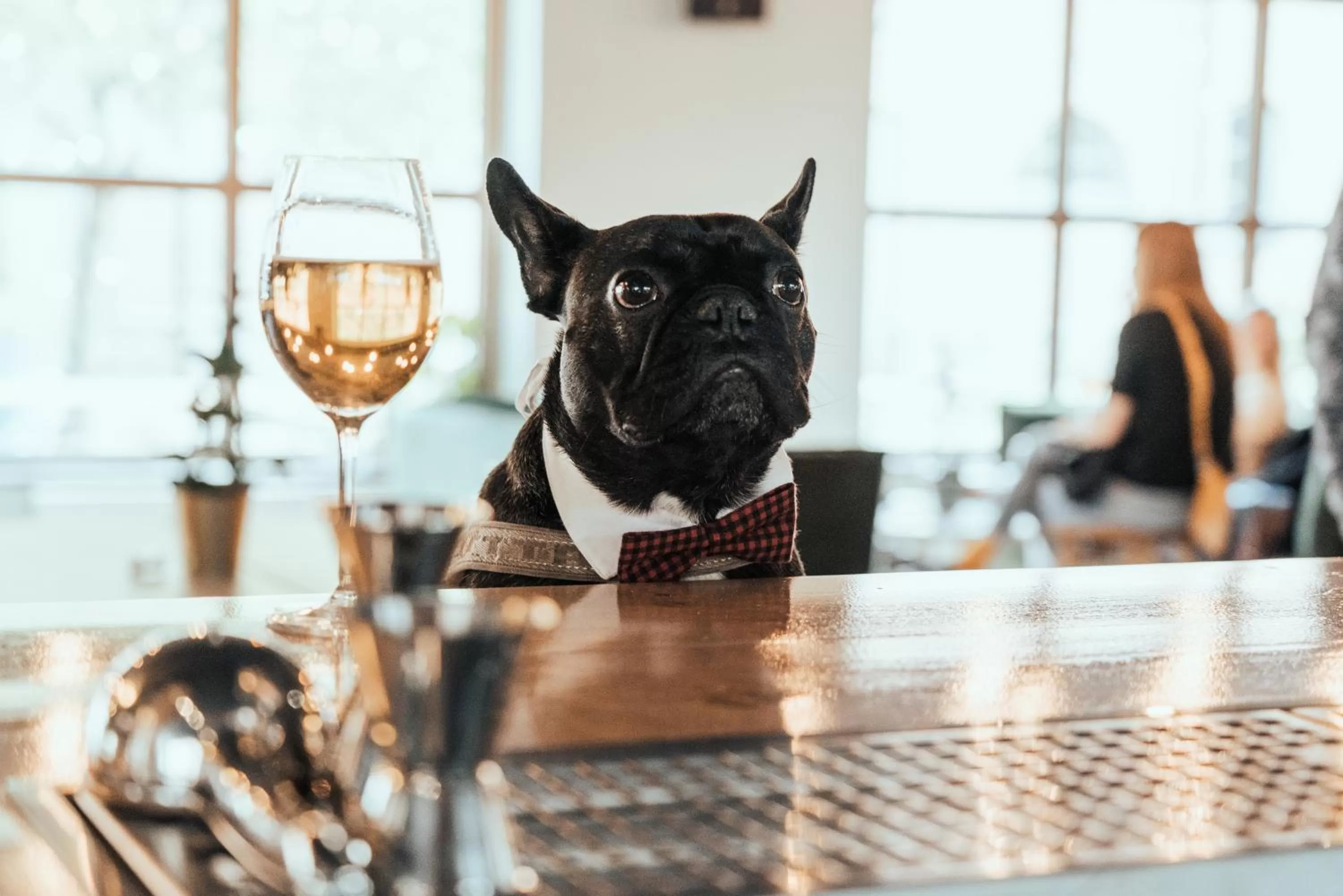 Restaurant/places to eat in Botanika Uppsala