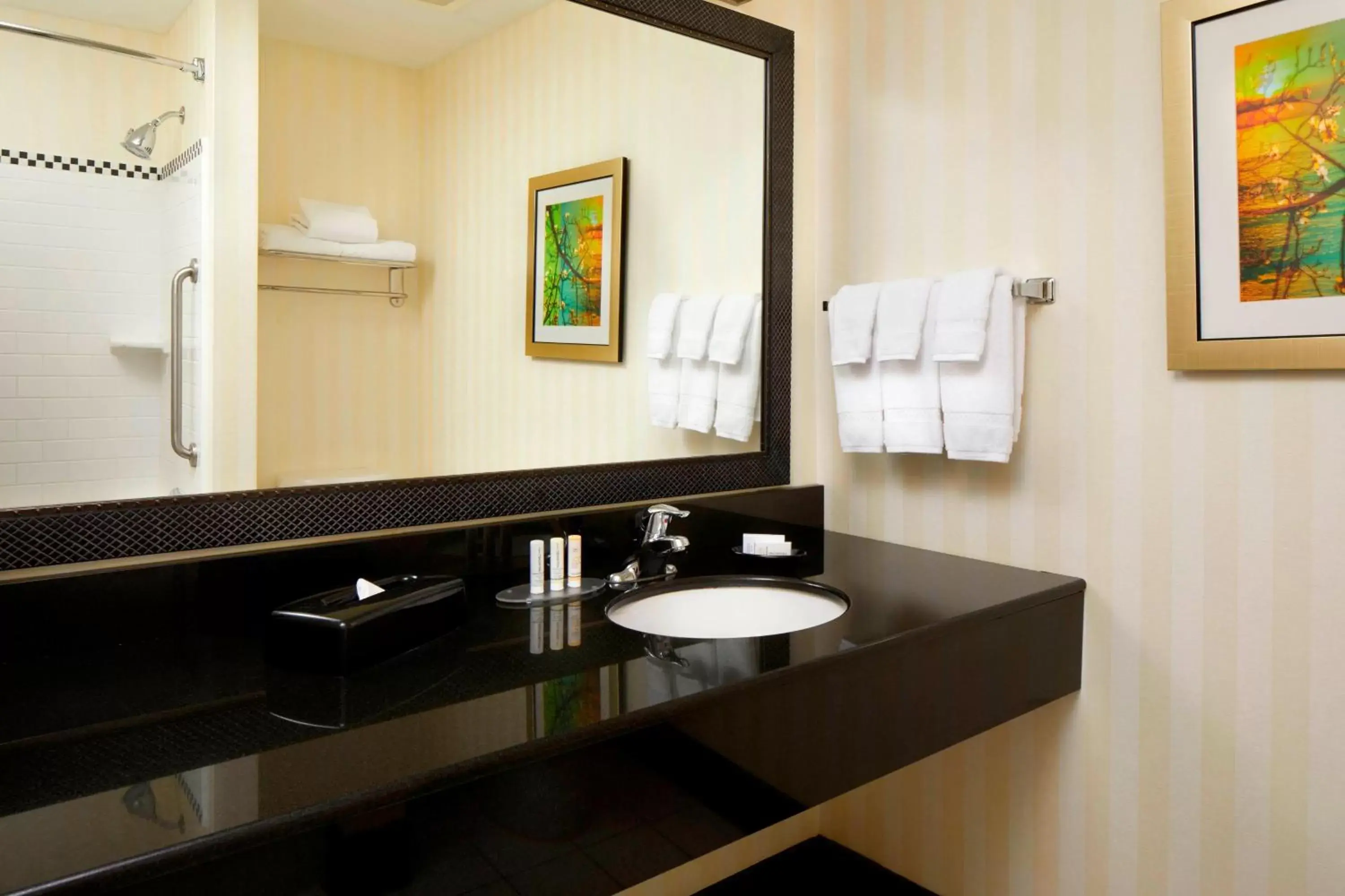 Bathroom in Fairfield Inn & Suites by Marriott Cumberland