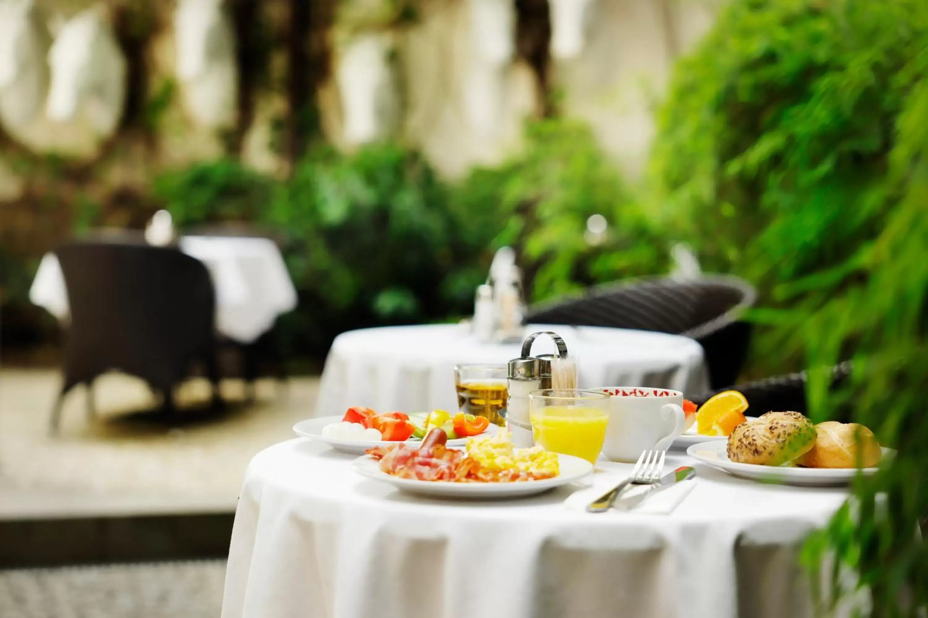 Garden in Three Crowns Hotel