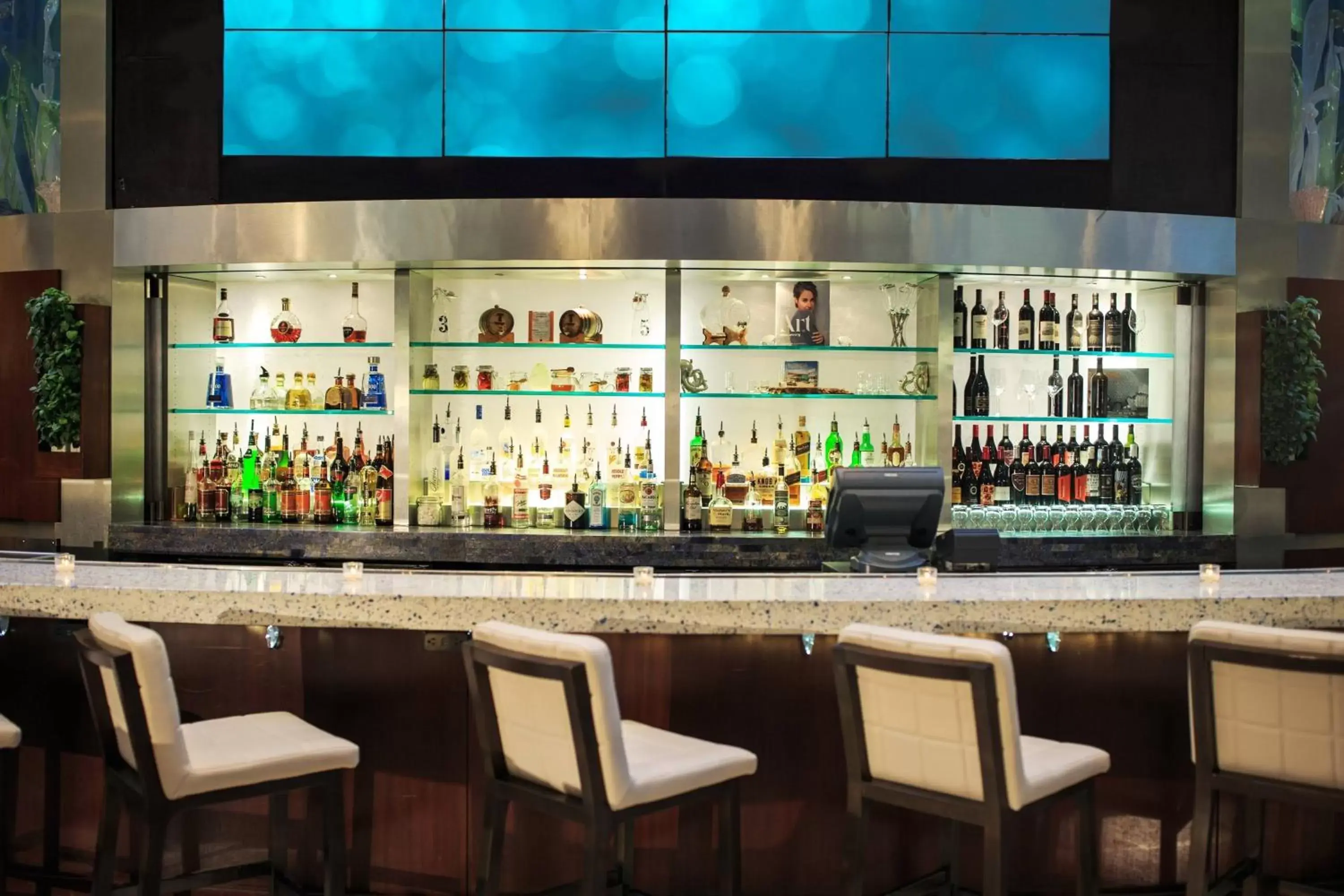 Restaurant/places to eat, Lounge/Bar in Renaissance Orlando at SeaWorld®
