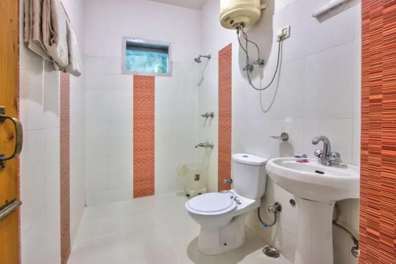 Shower in Ayushman Hotels