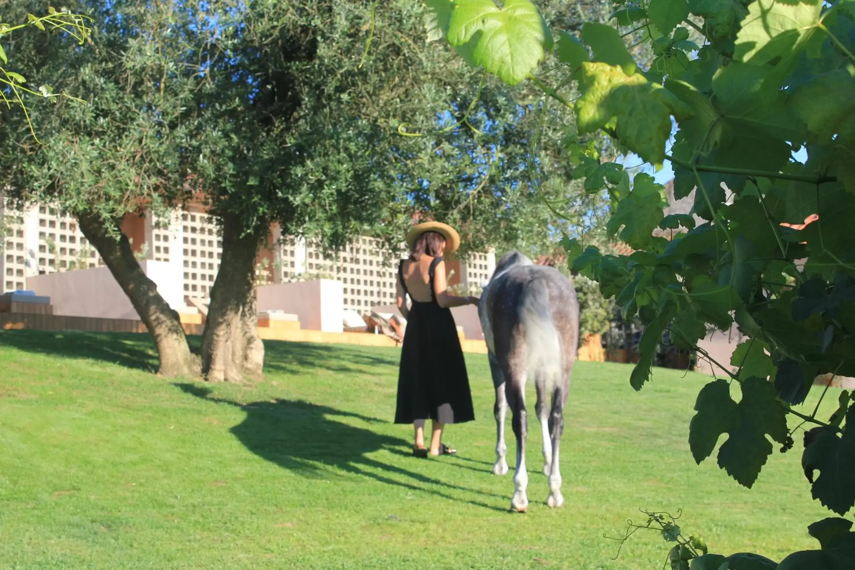 Property building, Other Animals in NHôme Country Living