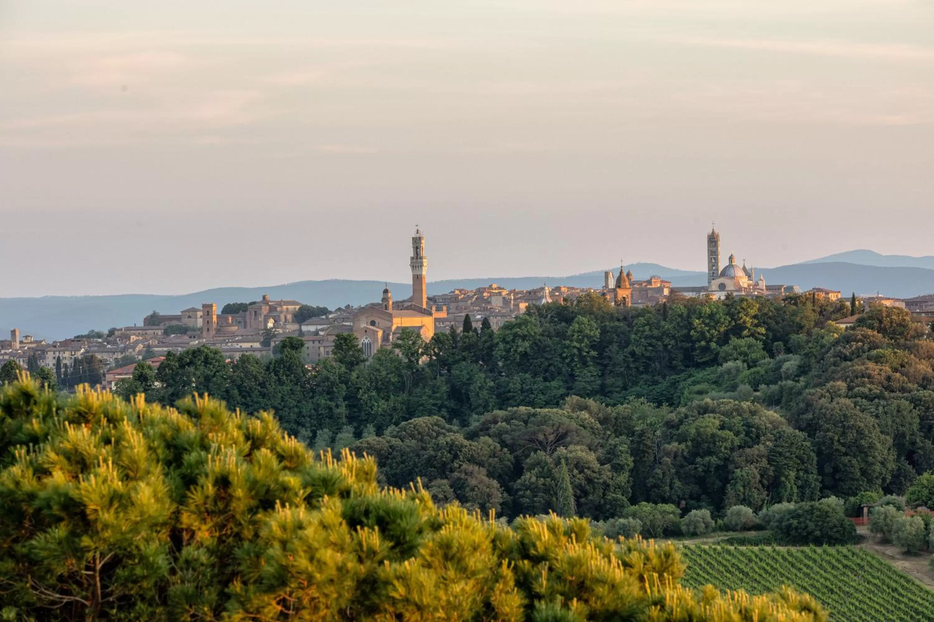 Neighbourhood in Borgo La Torre alle Tolfe