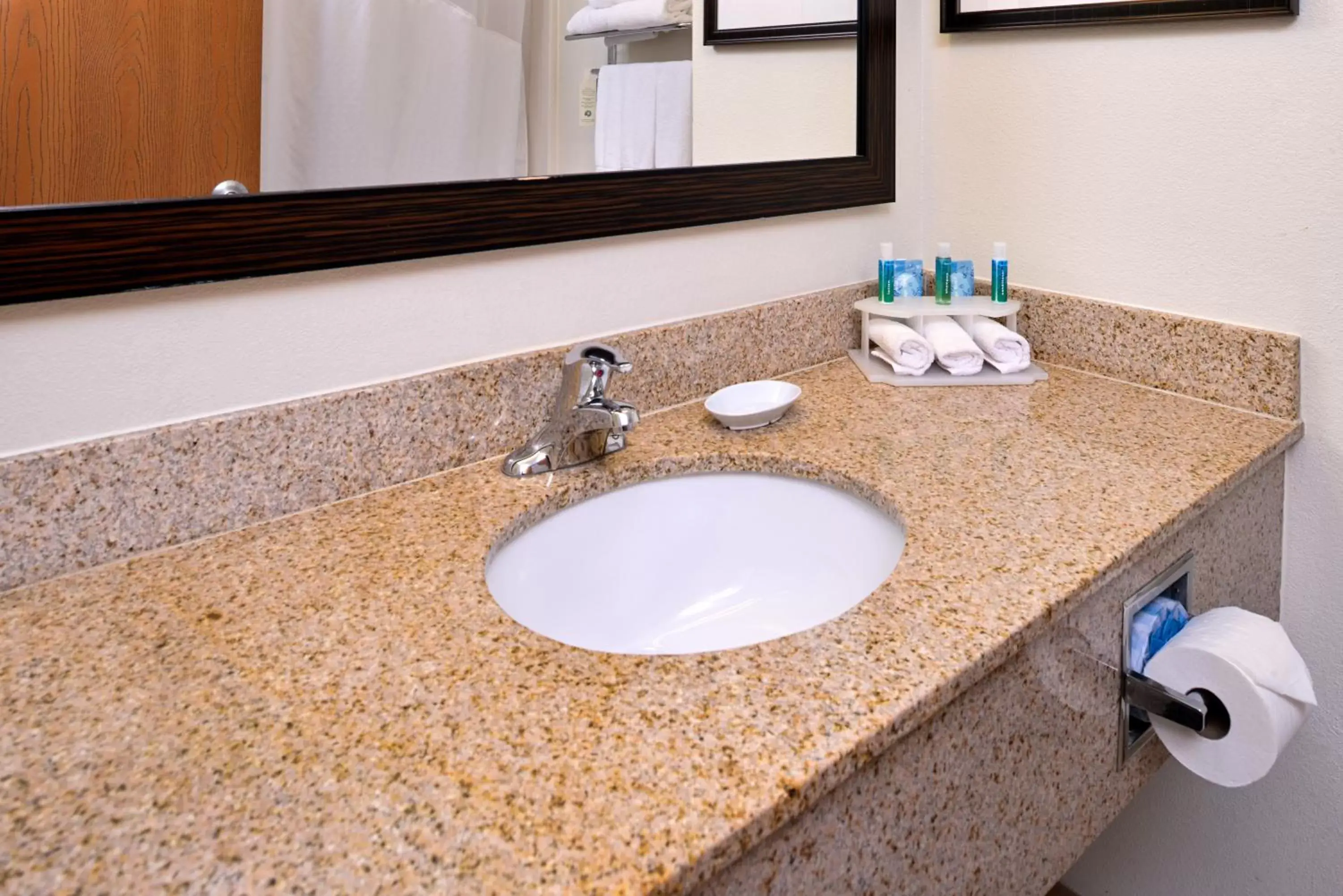 Bathroom in Holiday Inn Express Hotel & Suites Lancaster-Lititz, an IHG Hotel