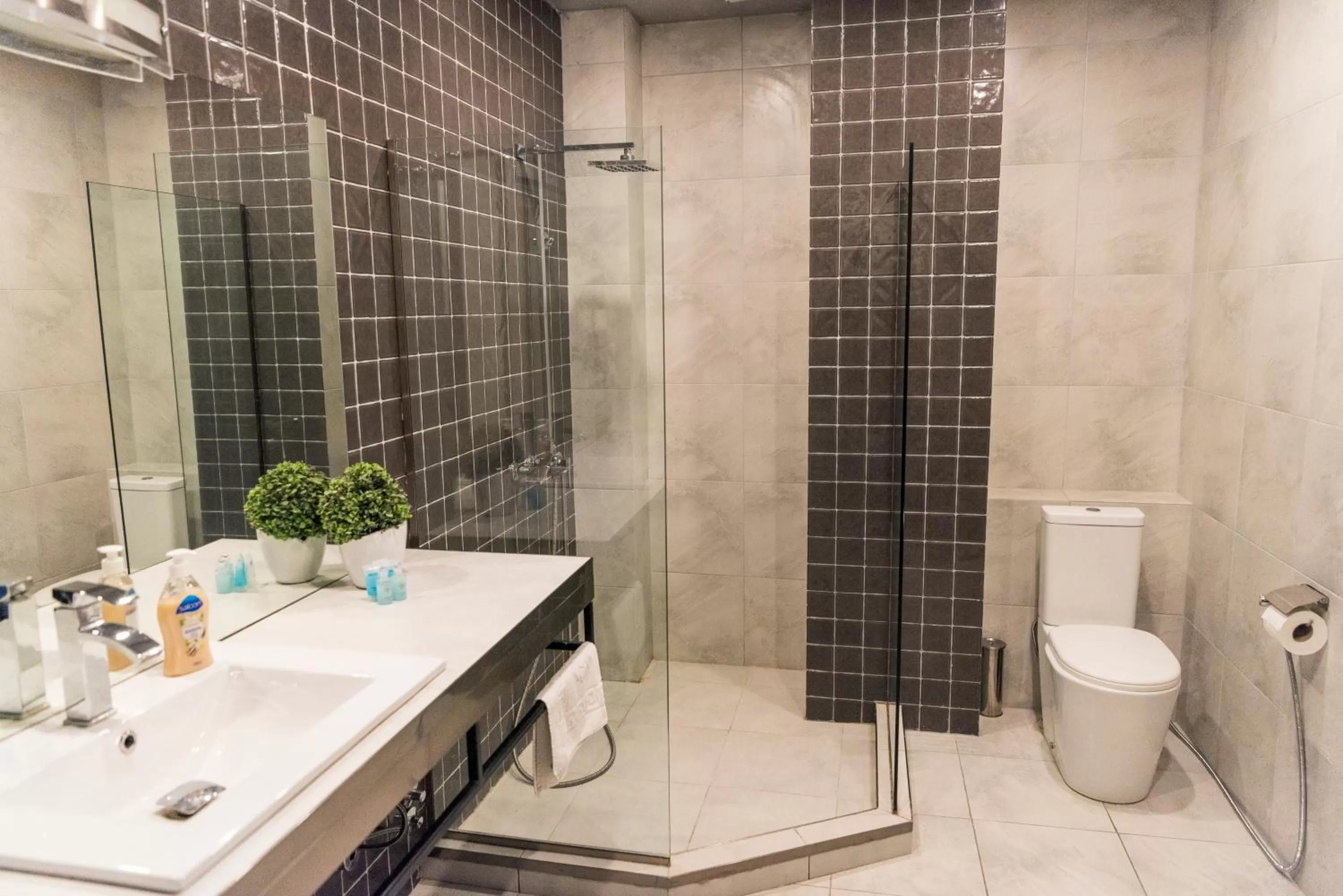 Bathroom in Sani Apart Hotel