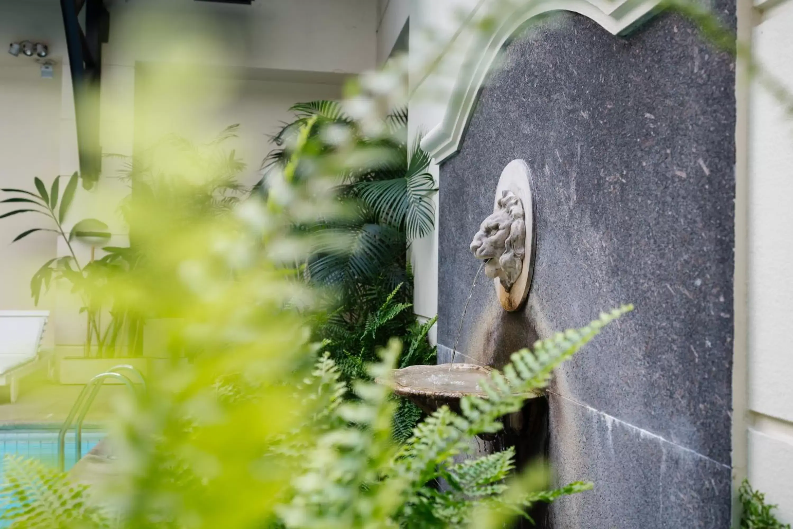Pool view in Loi Suites Recoleta Hotel Pool view in Loi Suites Recoleta Hotel