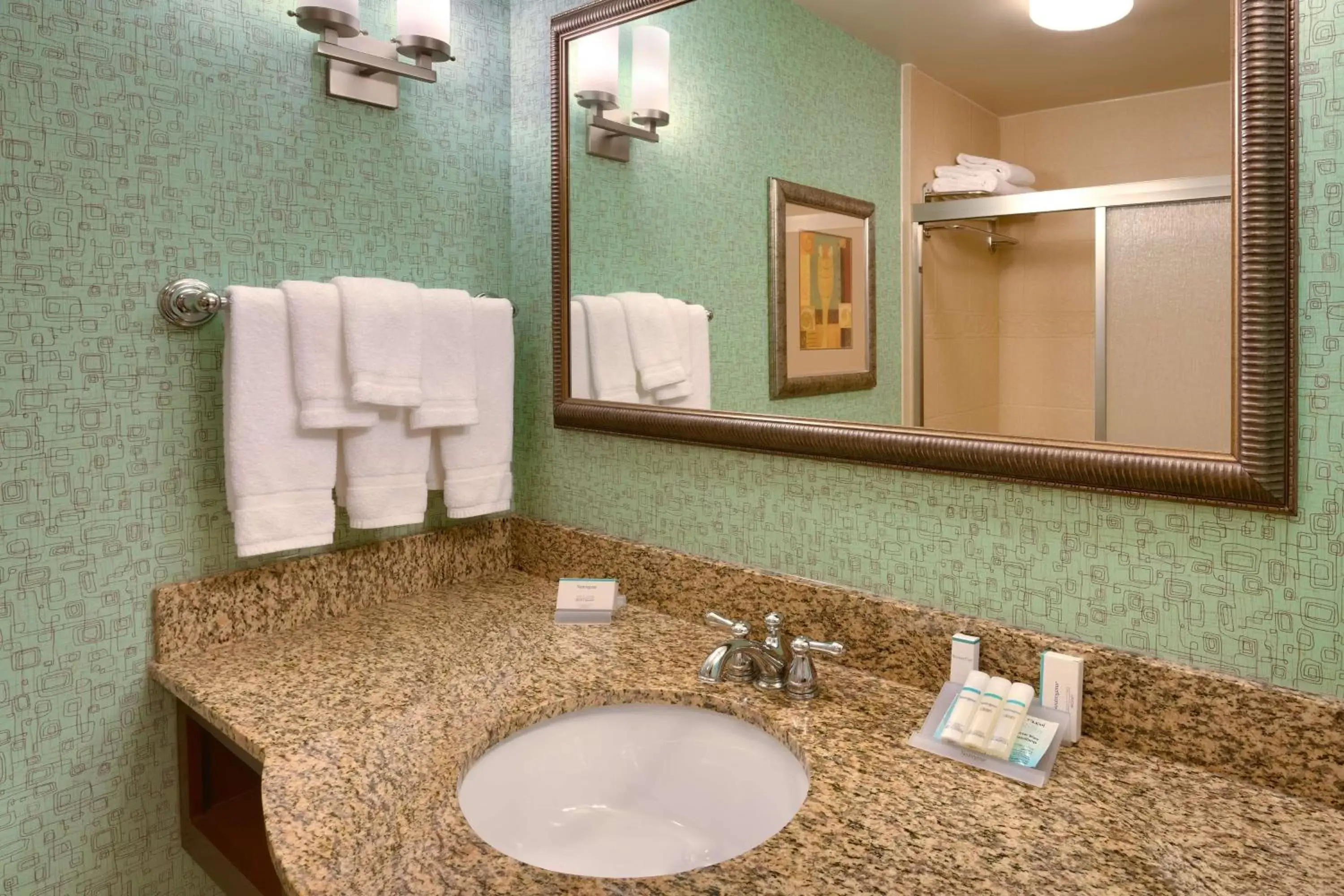 Bathroom in Hilton Garden Inn Clarksville