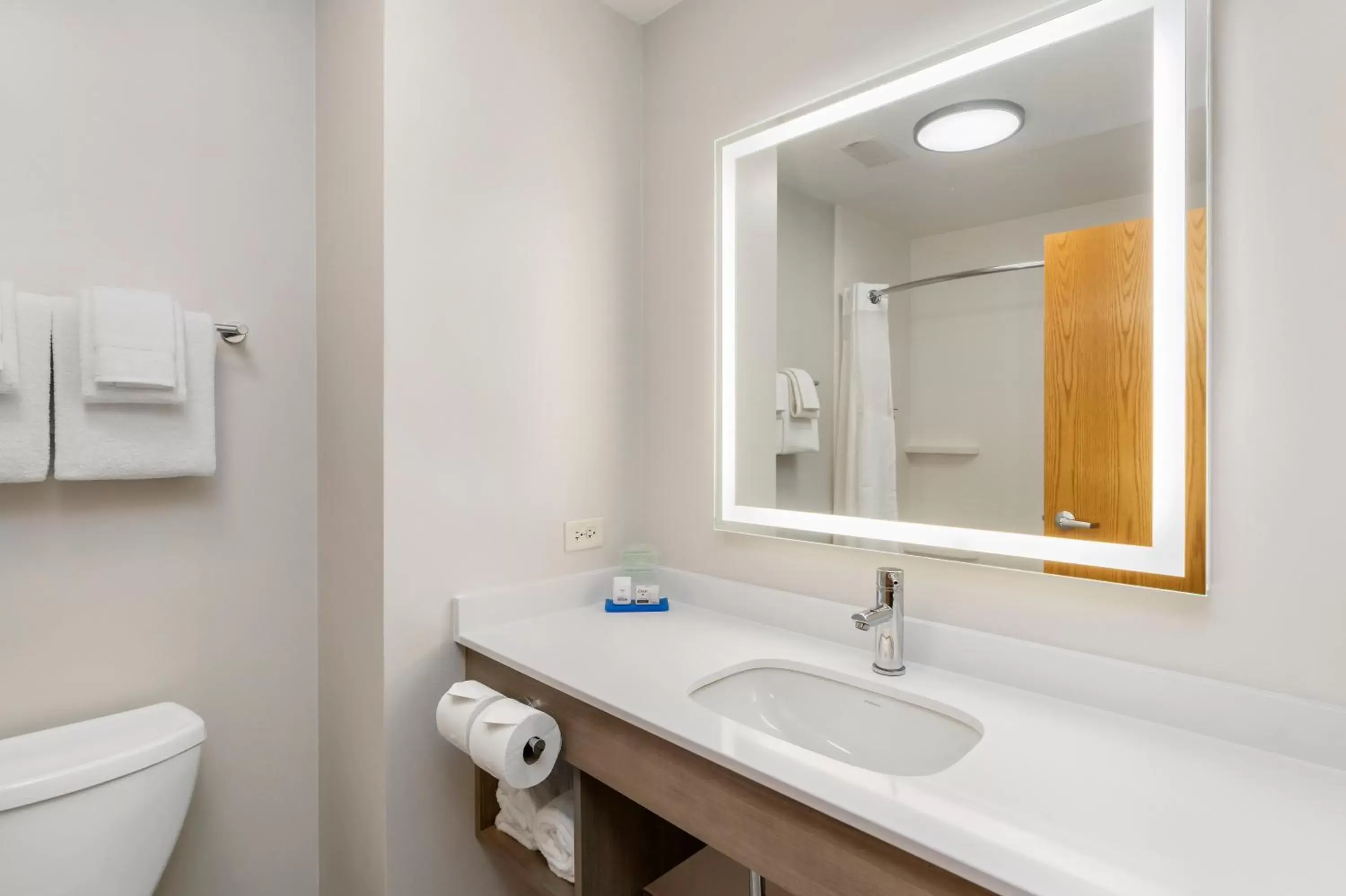 Bathroom in Holiday Inn Express Peru-Lasalle Area, an IHG Hotel