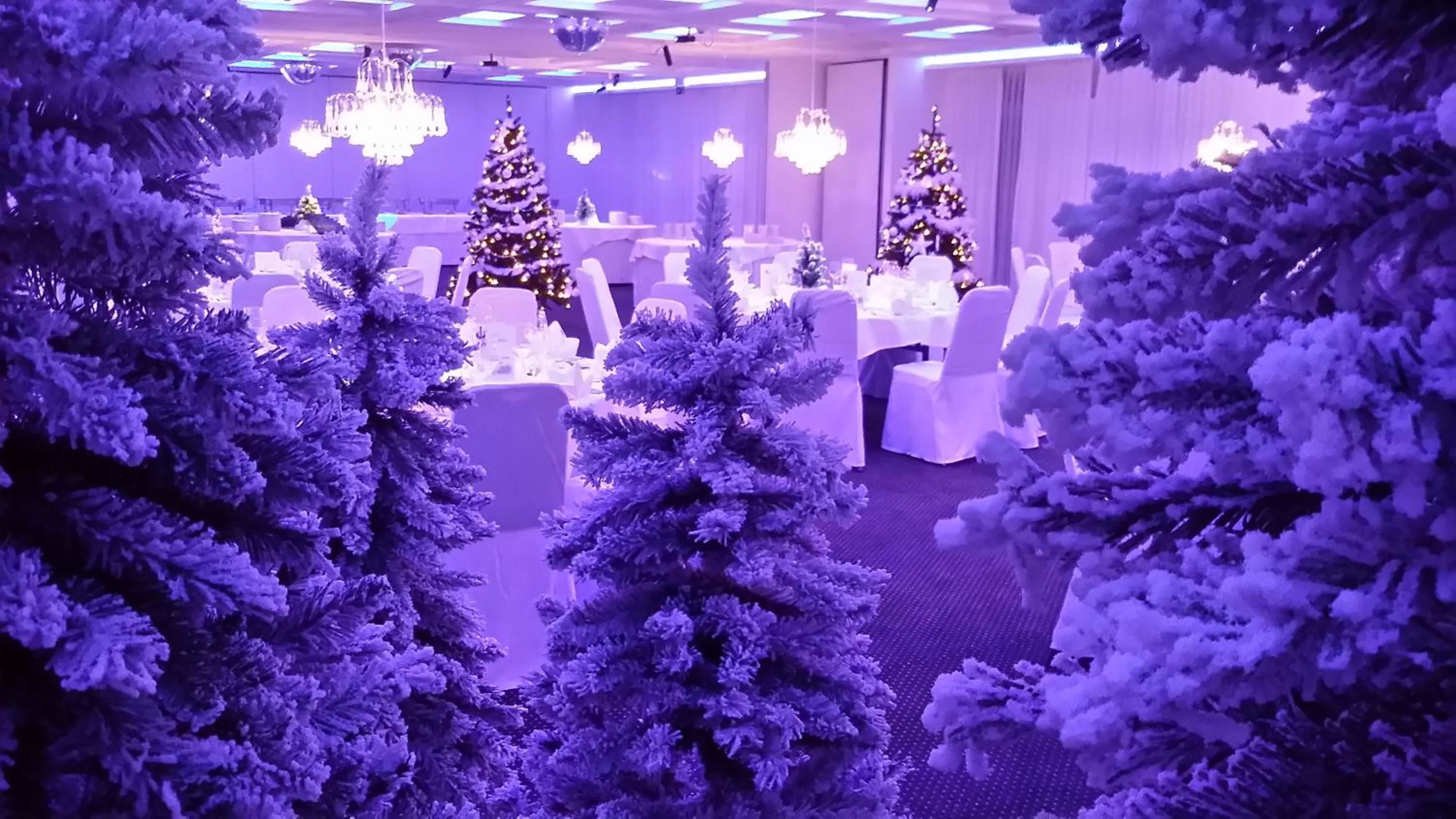 Banquet/Function facilities in nordica Hotel Friesenhof