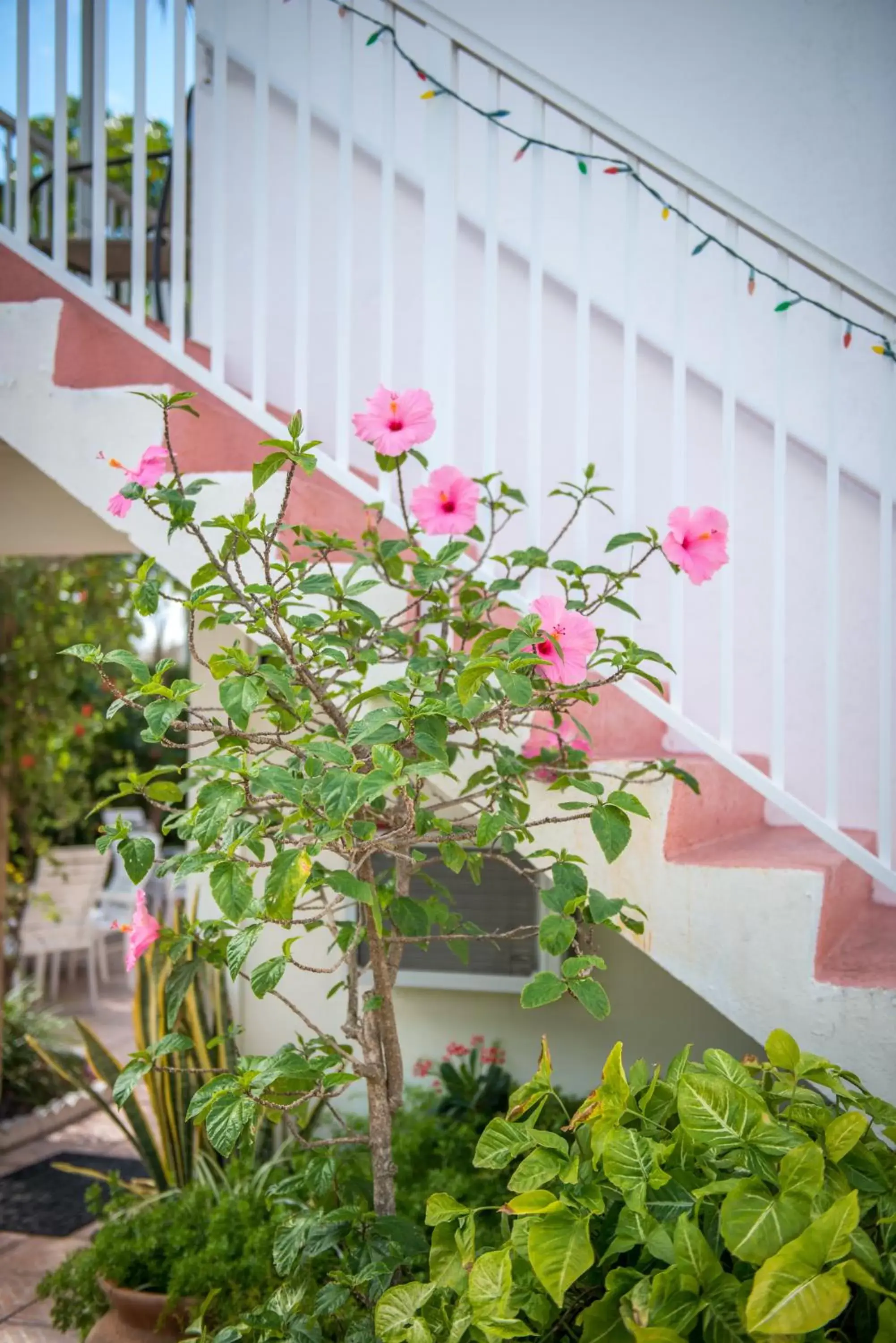 Garden, Patio/Outdoor Area in Shore Haven Resort Inn