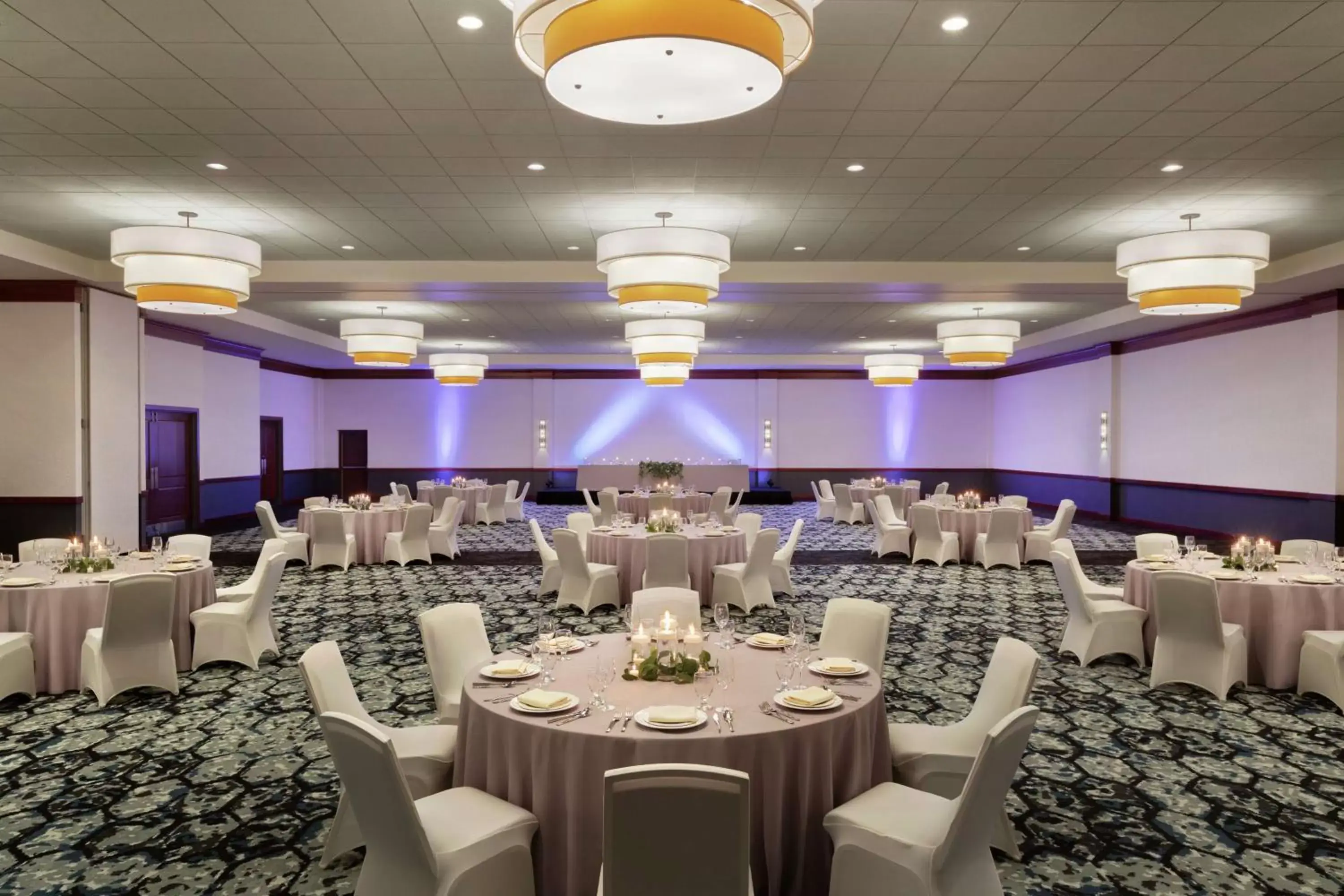 Meeting/conference room, Banquet Facilities in Hilton Garden Inn Troy