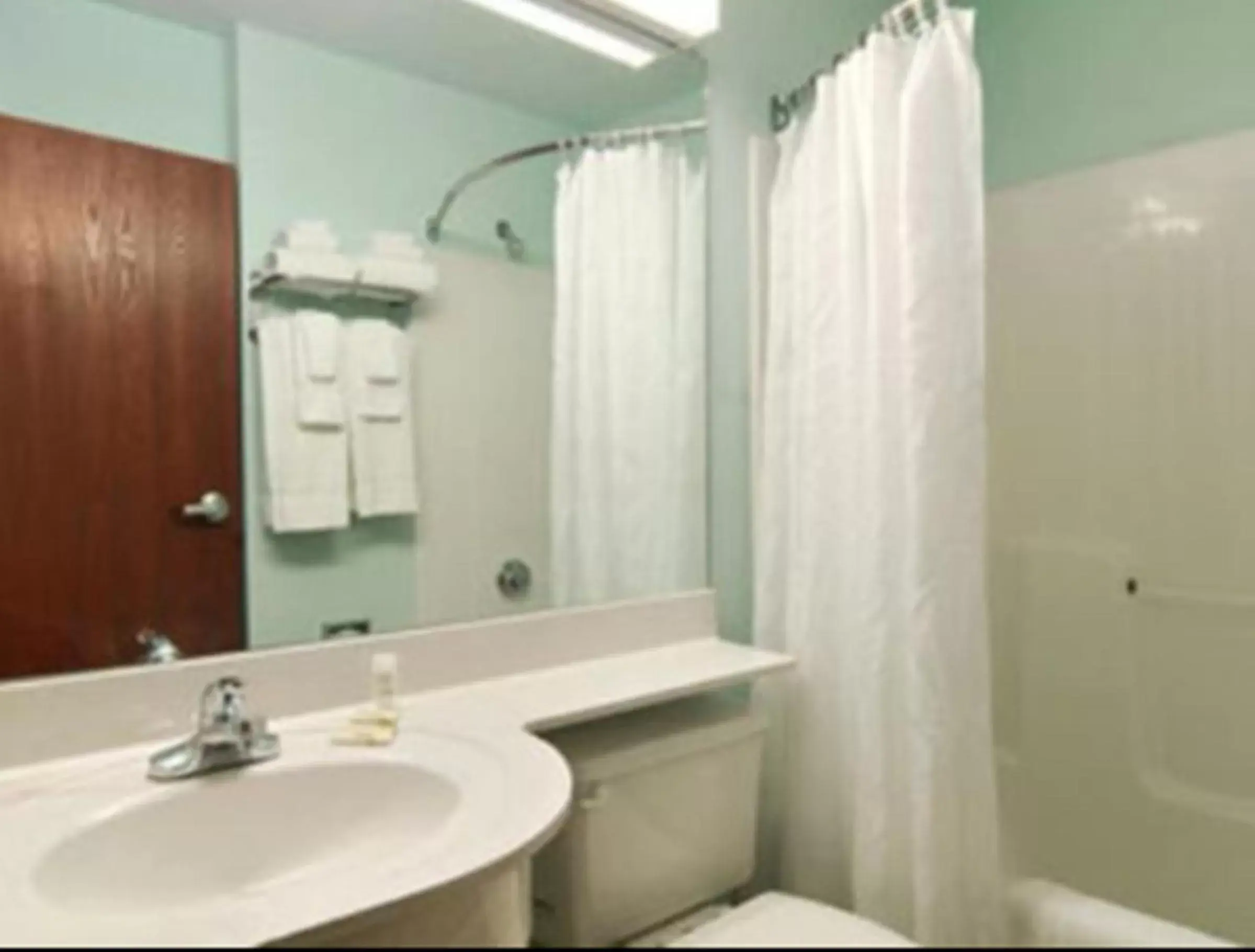 Bathroom in Microtel Inn & Suites by Wyndham Gardendale