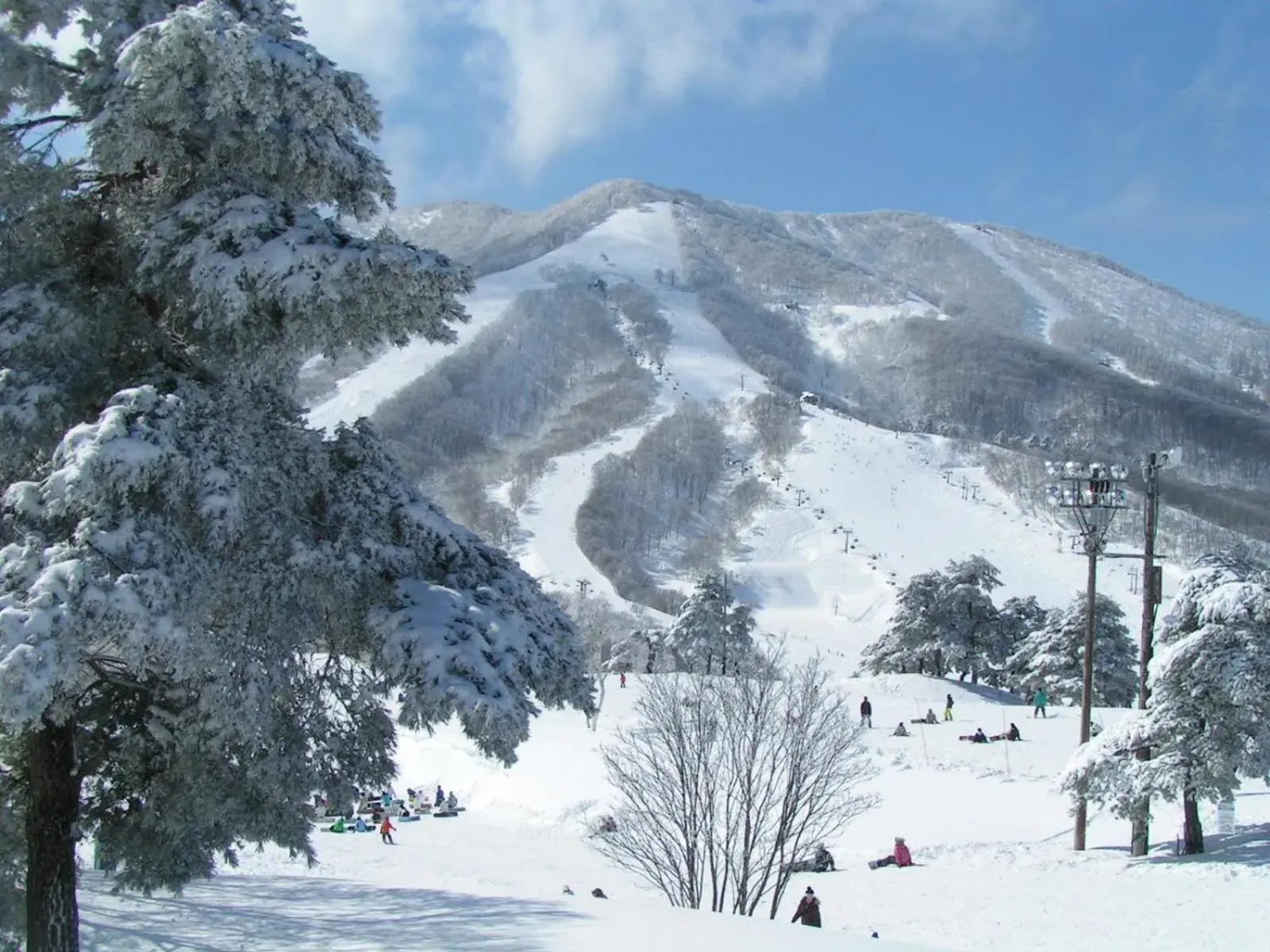 Area and facilities, Winter in Madarao Elm Pension