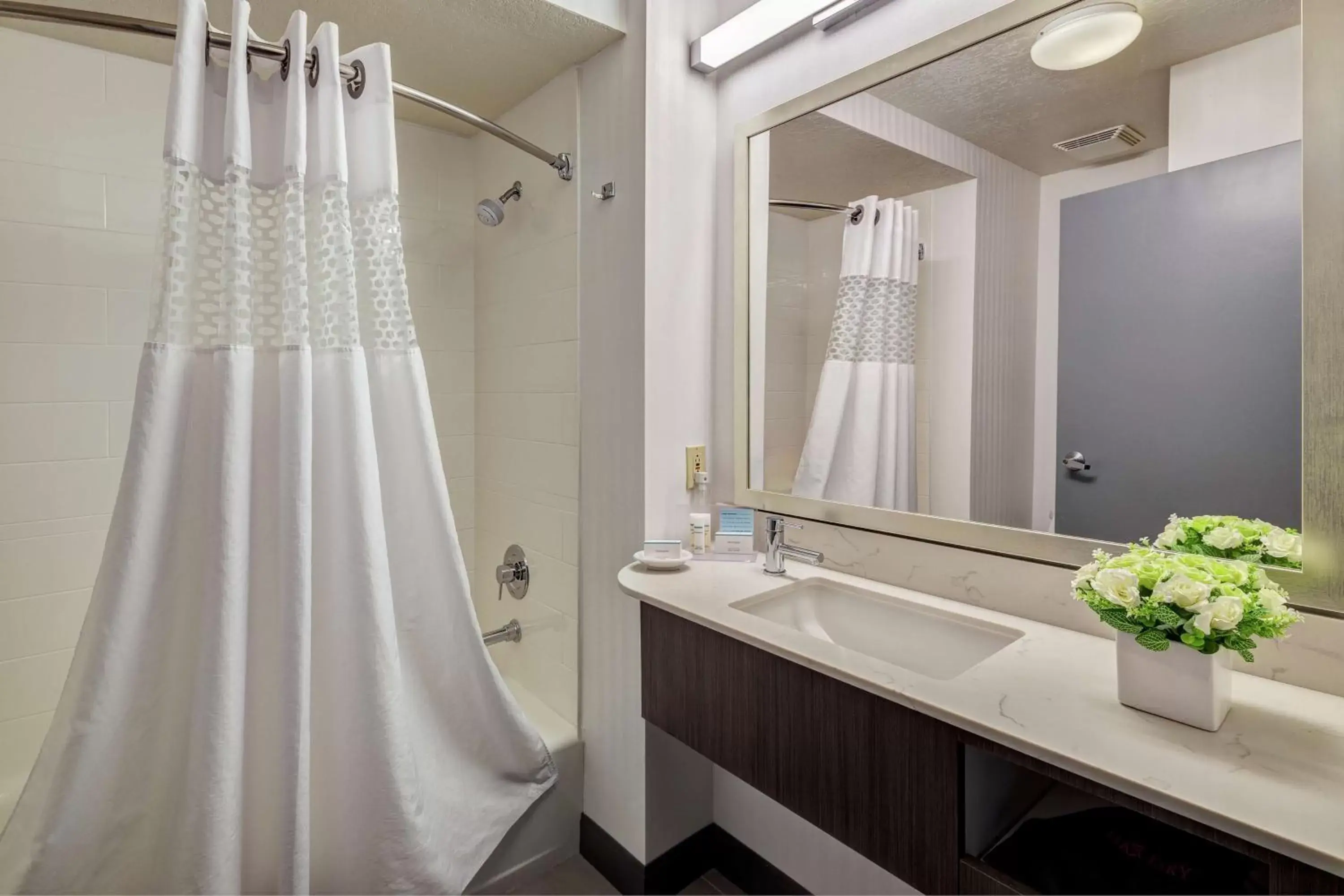 Bathroom in Hampton Inn & Suites Palm Desert