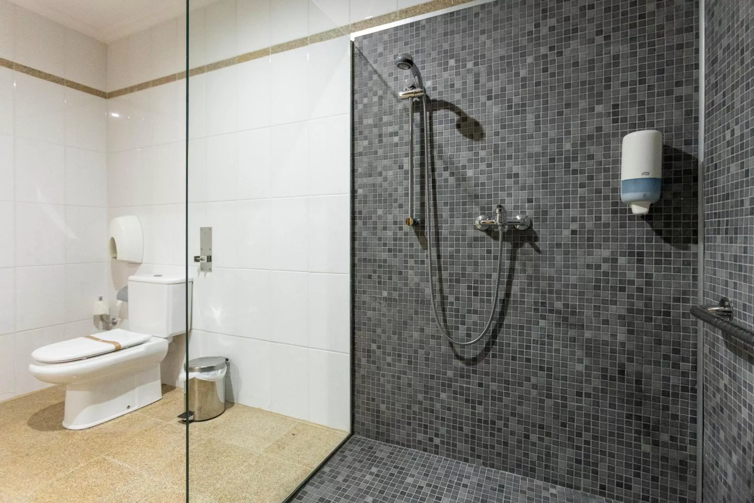 Facility for disabled guests, Bathroom in Hotel Alfonso I
