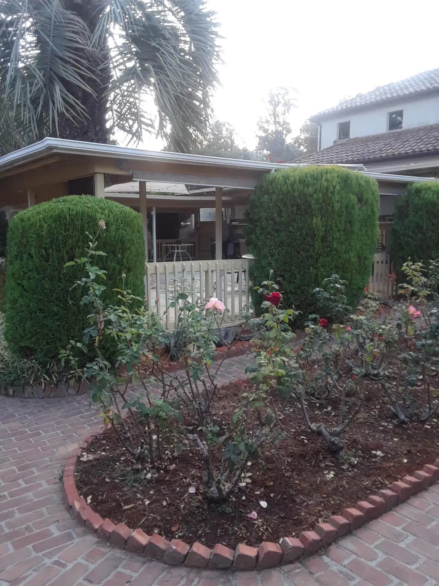 Garden in Los Gatos Garden Inn Hotel
