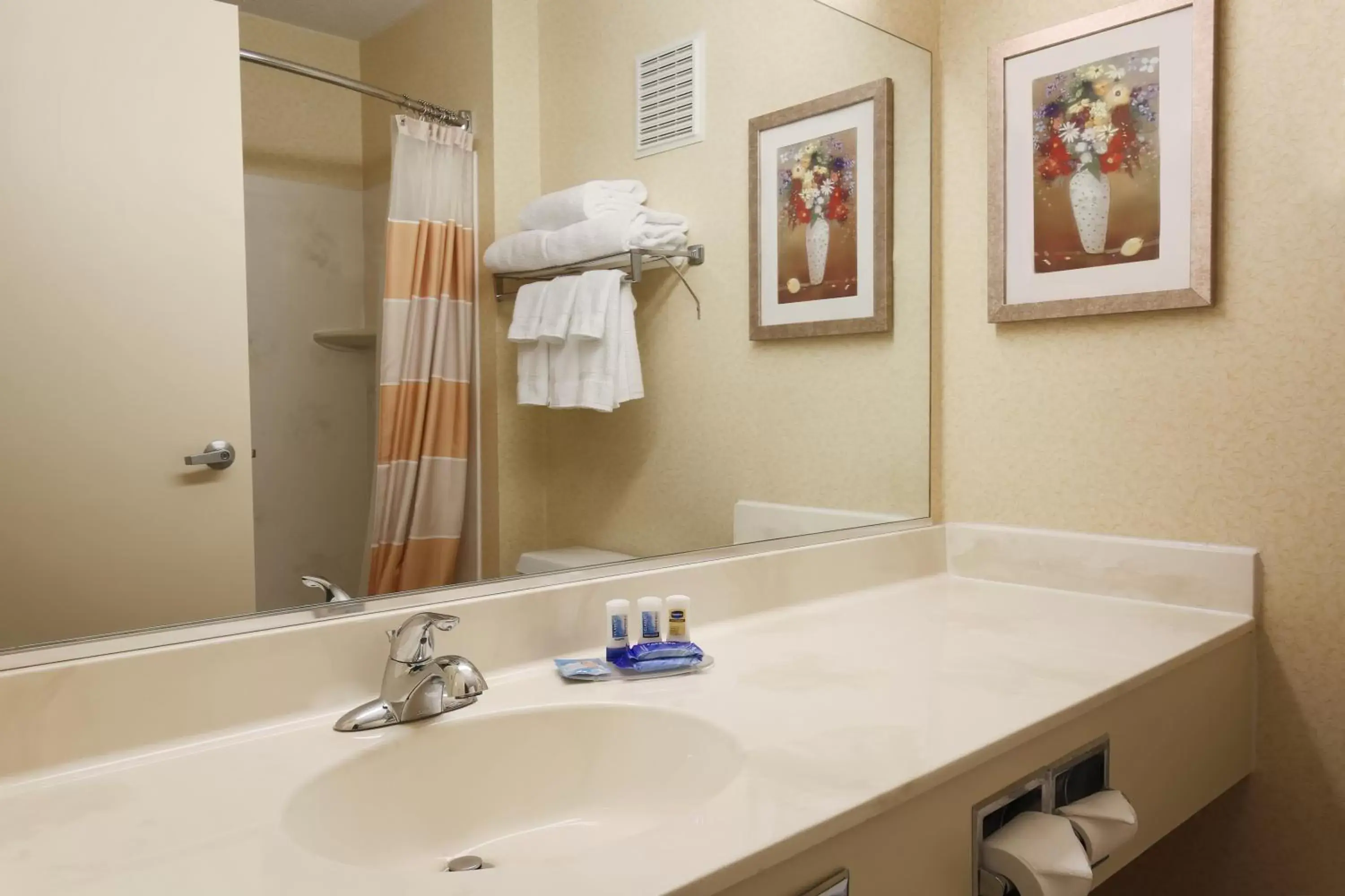 Bathroom in Comfort Inn & Suites